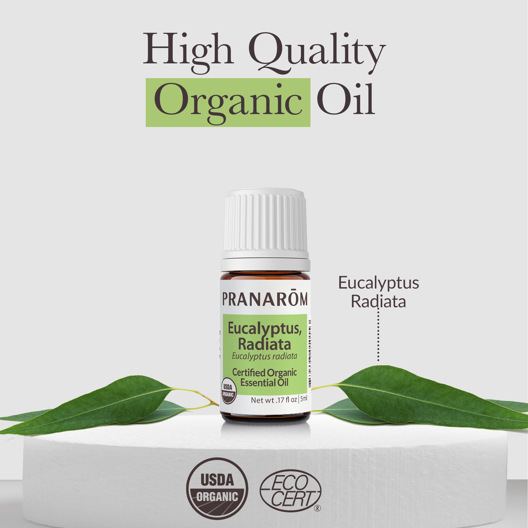 Eucalyptus Radiata Essential Oil - Organic | Pranarôm