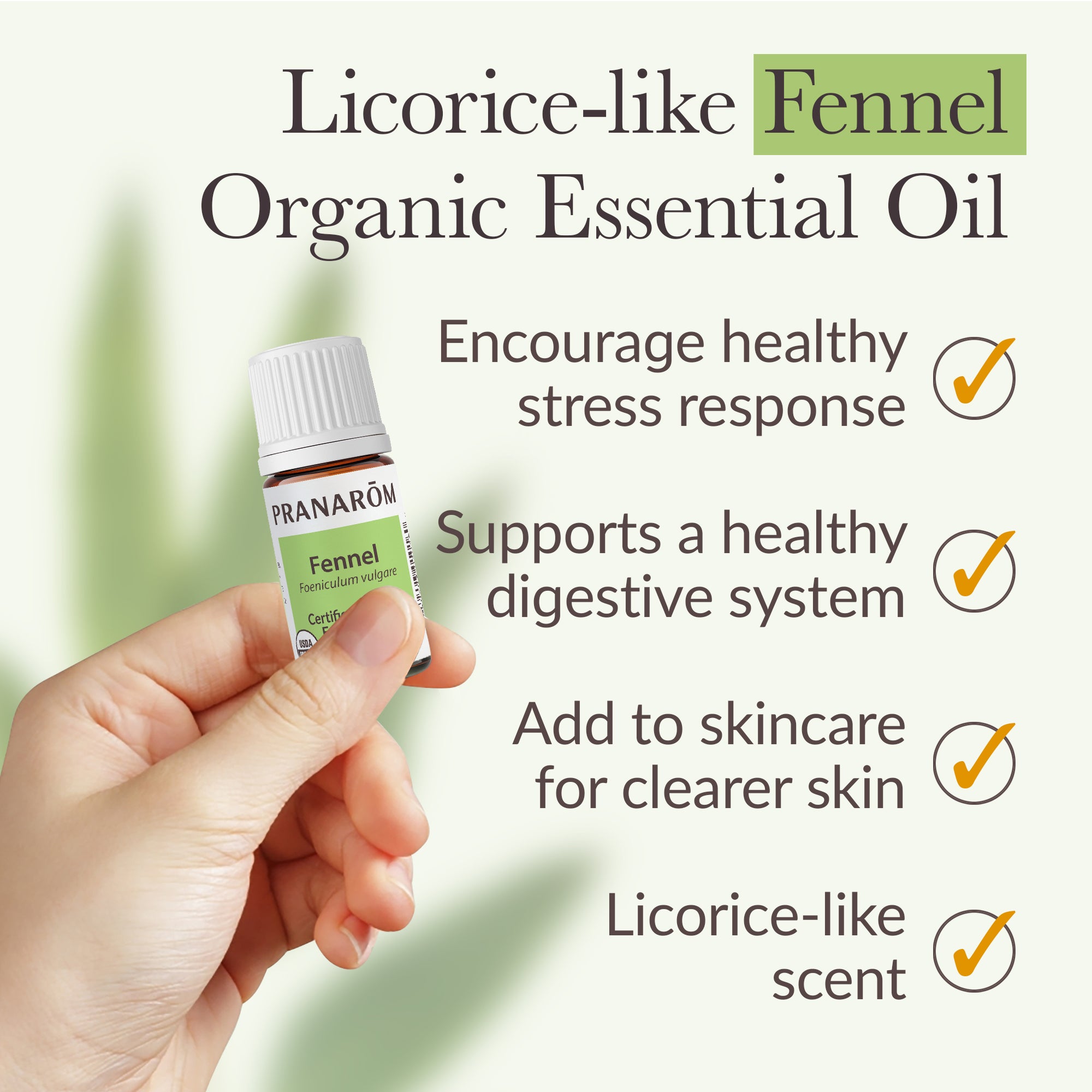 Fennel Essential Oil - Organic | Pranarôm