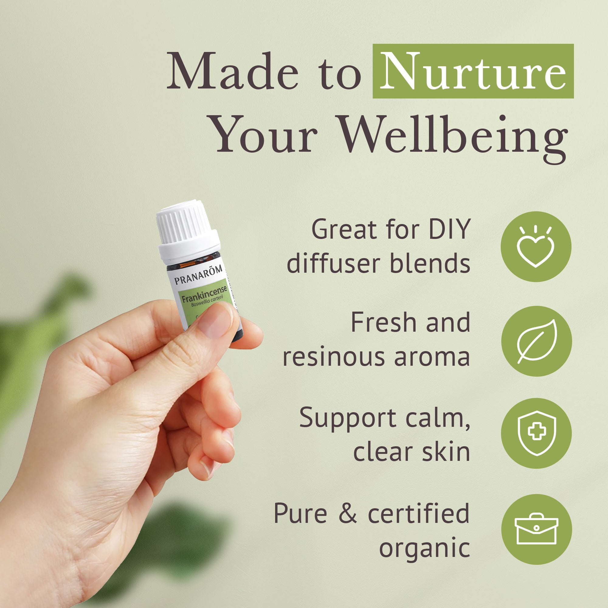 Frankincense Essential Oil - Bio | Pranarôm
