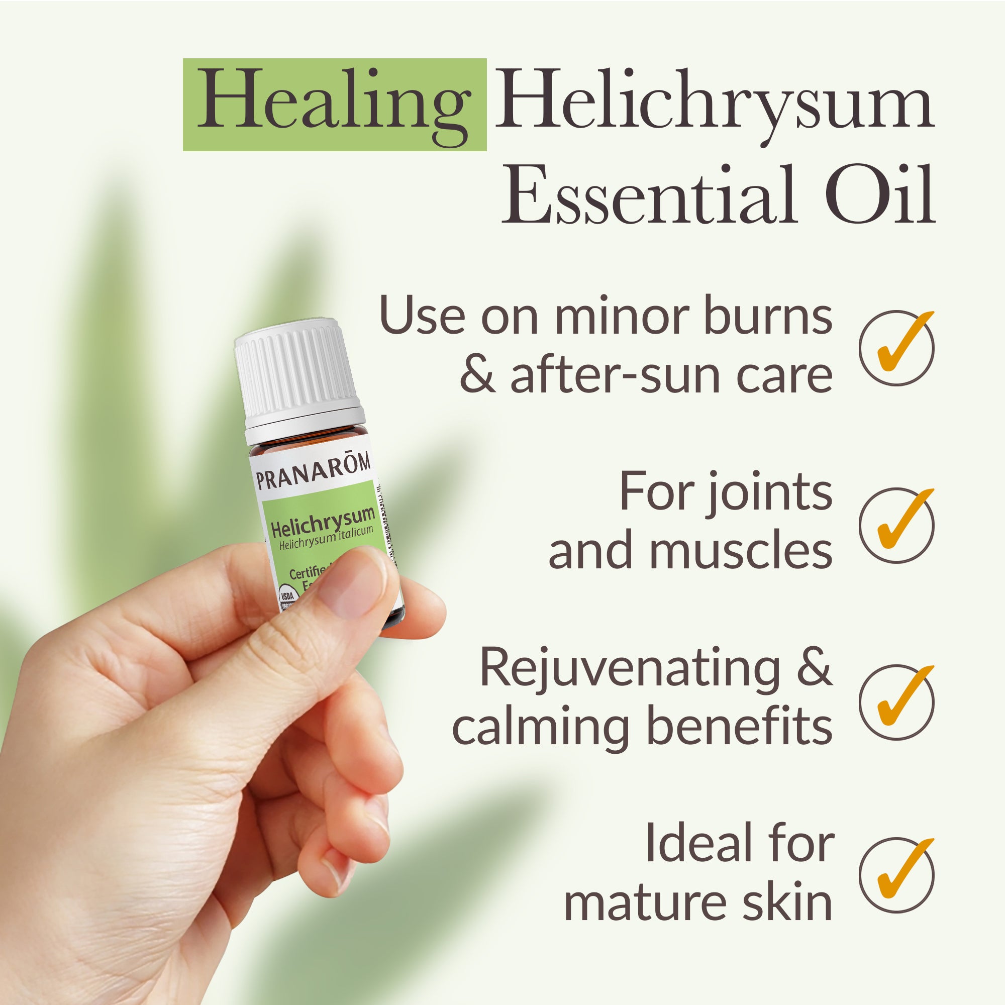 Helichrysum Essential Oil - Organic | Pranarôm