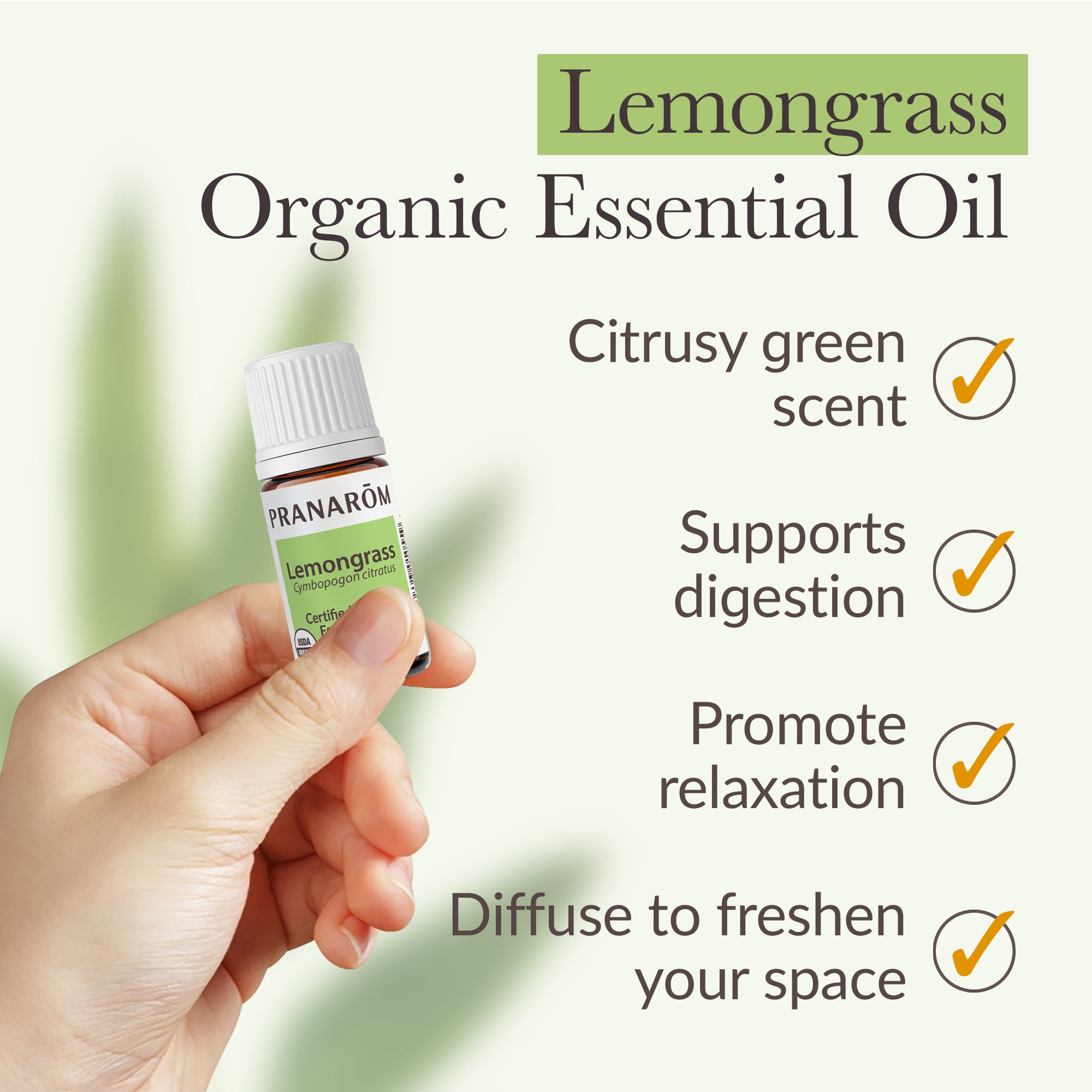 Lemongrass Essential Oil - Organic | Pranarôm