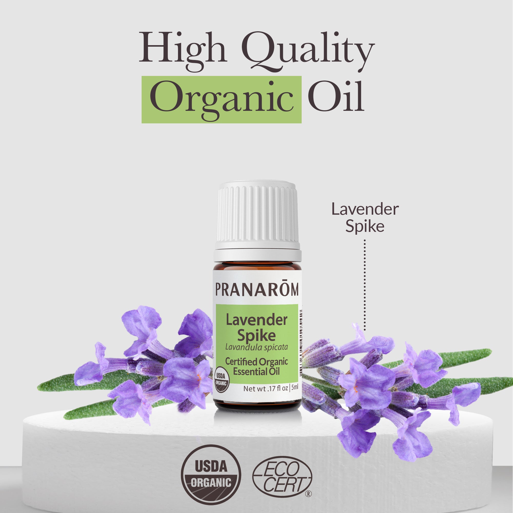 Lavender, Spike Essential Oil - Organic | Pranarôm