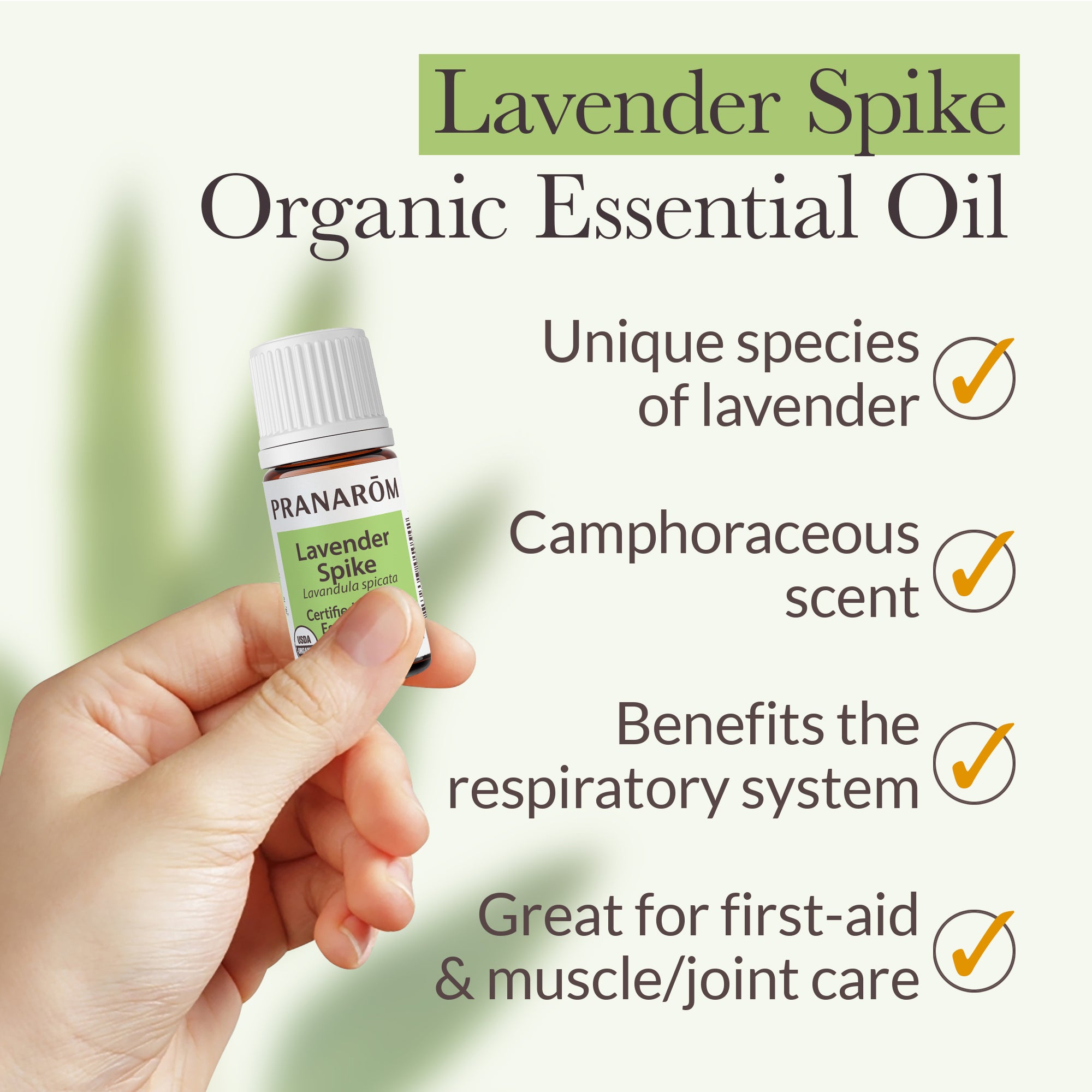 Lavender, Spike Essential Oil - Organic | Pranarôm
