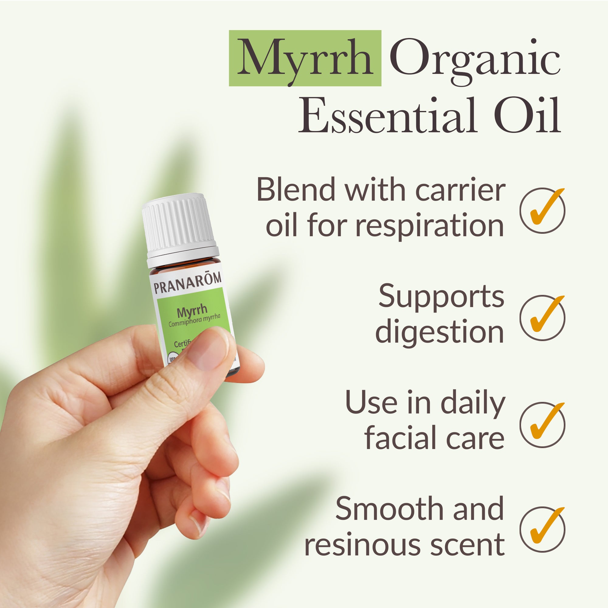 Myrrh Essential Oil - Bio | Pranarôm