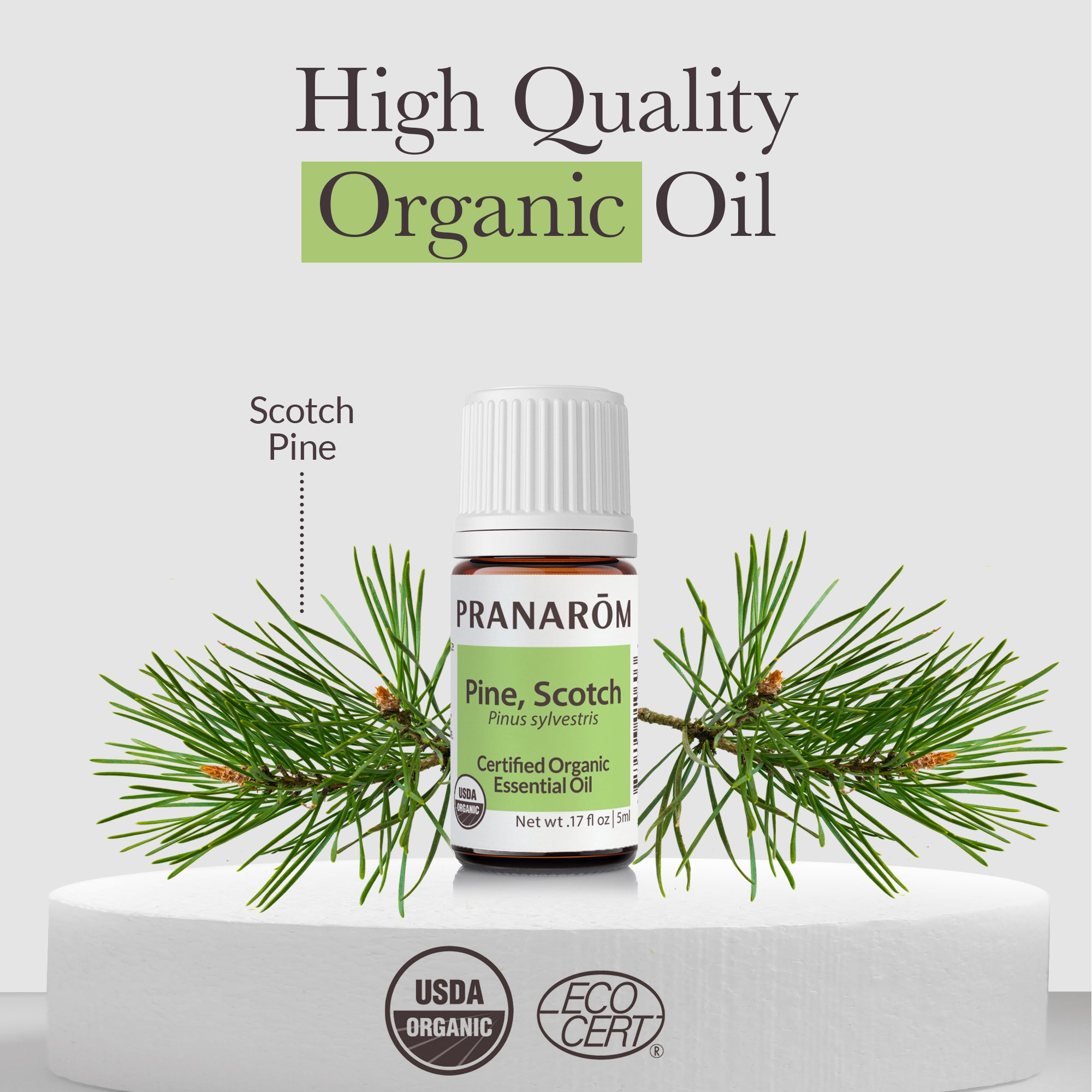Scotch Pine Essential Oil - Organic | Pranarôm