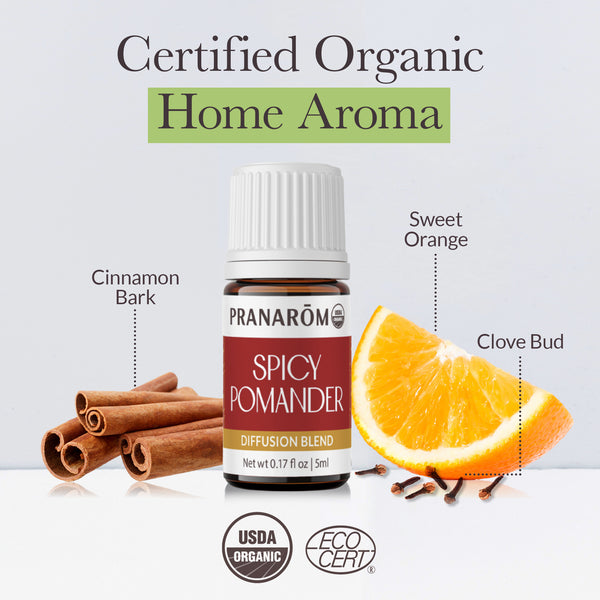 5pom-holiday-spicy-pomander-pranarom-us-859493001120-03.jpg