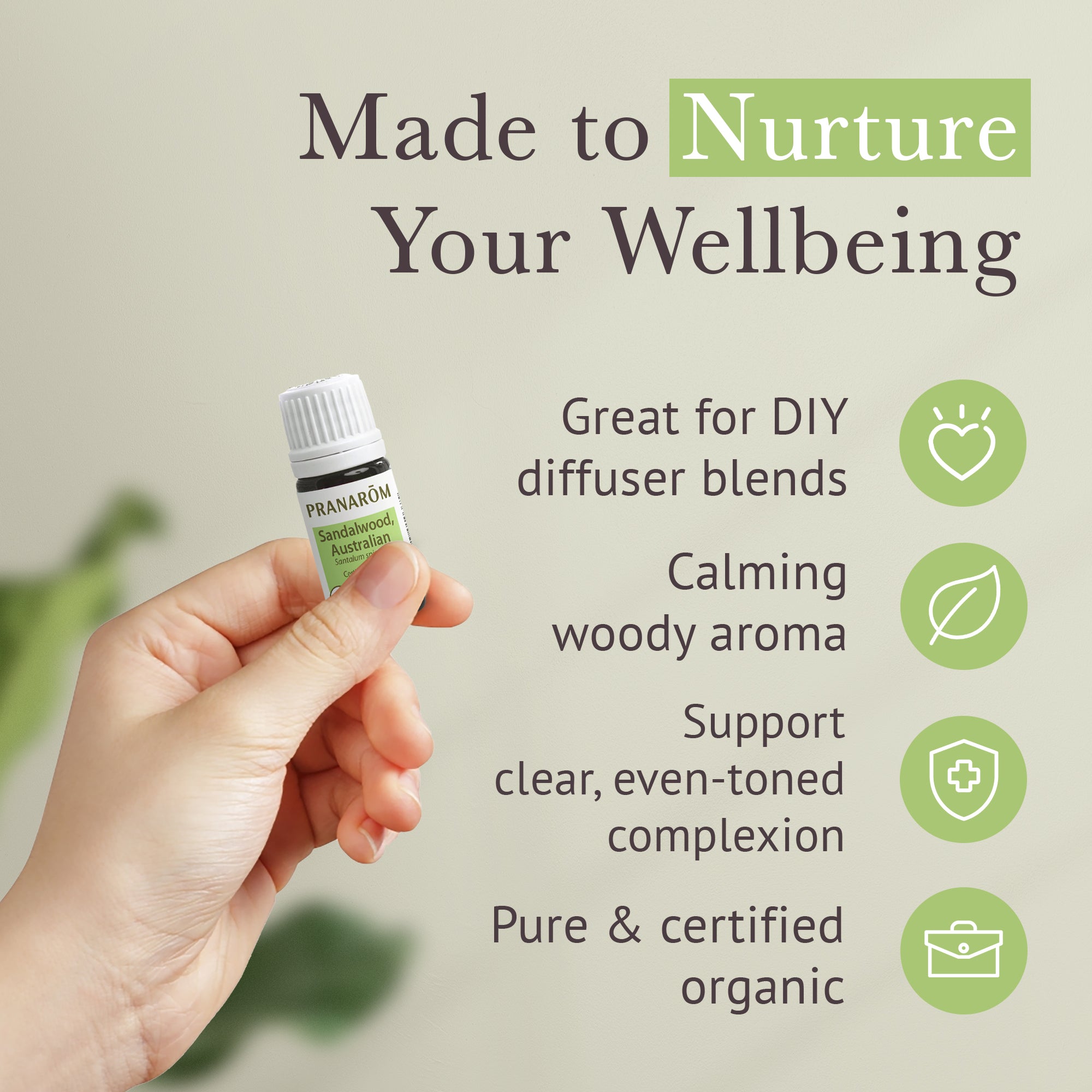 Sandalwood, Australian Essential Oil - Organic | Pranarôm