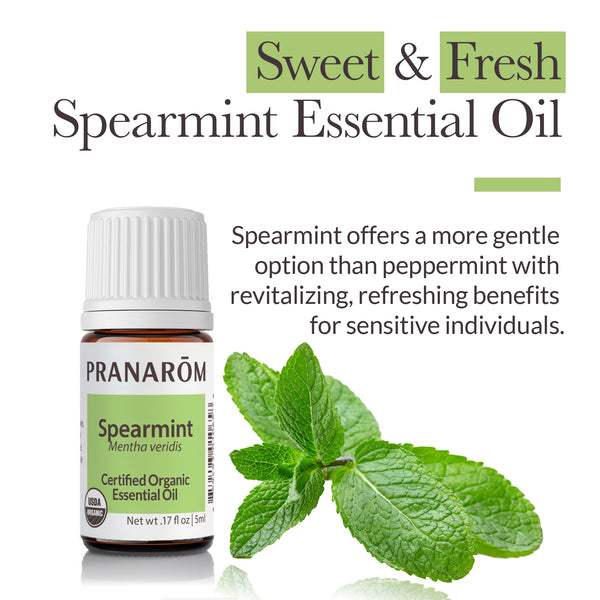 5spe1-single-notes-spearmint-pranarom-5ml-us-859493010658-02.jpg