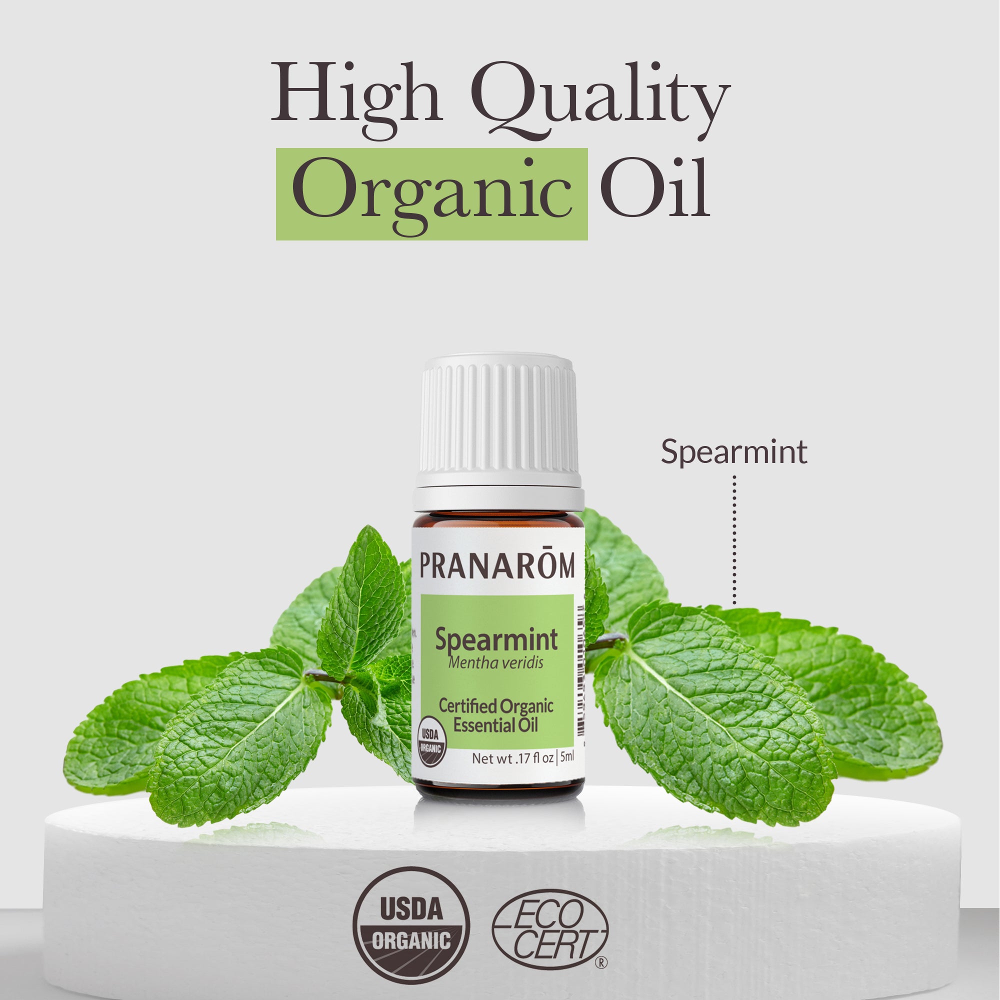 Spearmint Essential Oil - Organic | Pranarôm Spearmint Essential Oil - Organic | Pranarôm