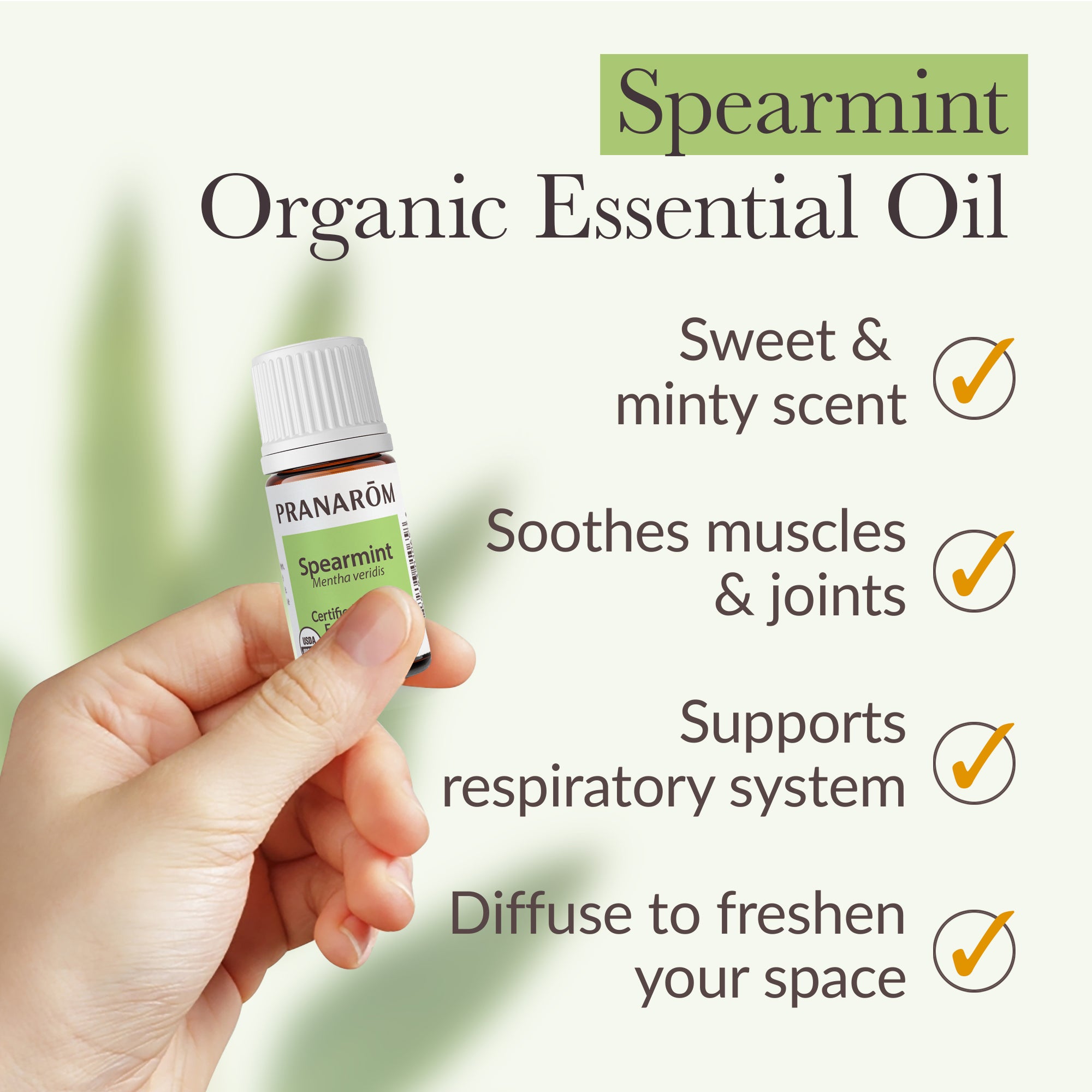 Spearmint Essential Oil - Organic | Pranarôm