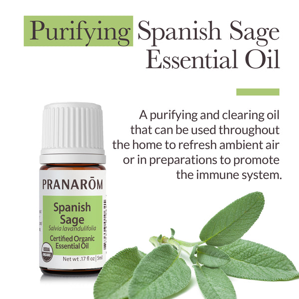 5ssa1-single-notes-spanish-sage-pranarom-5ml-us-859493010641-02.jpg