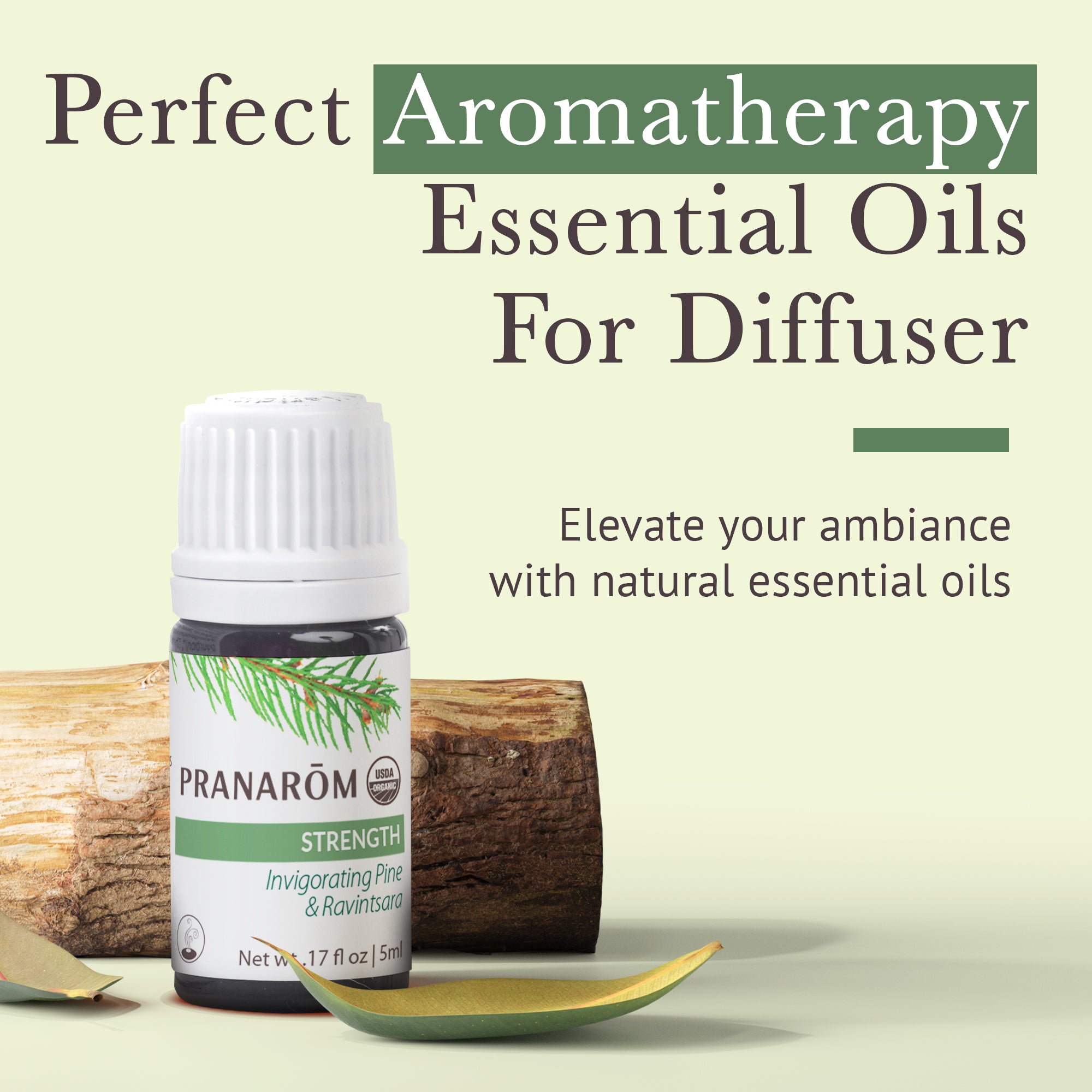 Strength Essential Oil Diffusion Blend - Organic | Pranarôm