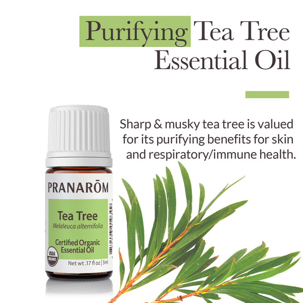 5tea1-single-notes-tea-tree-pranarom-5ml-us-859493010399-02.jpg
