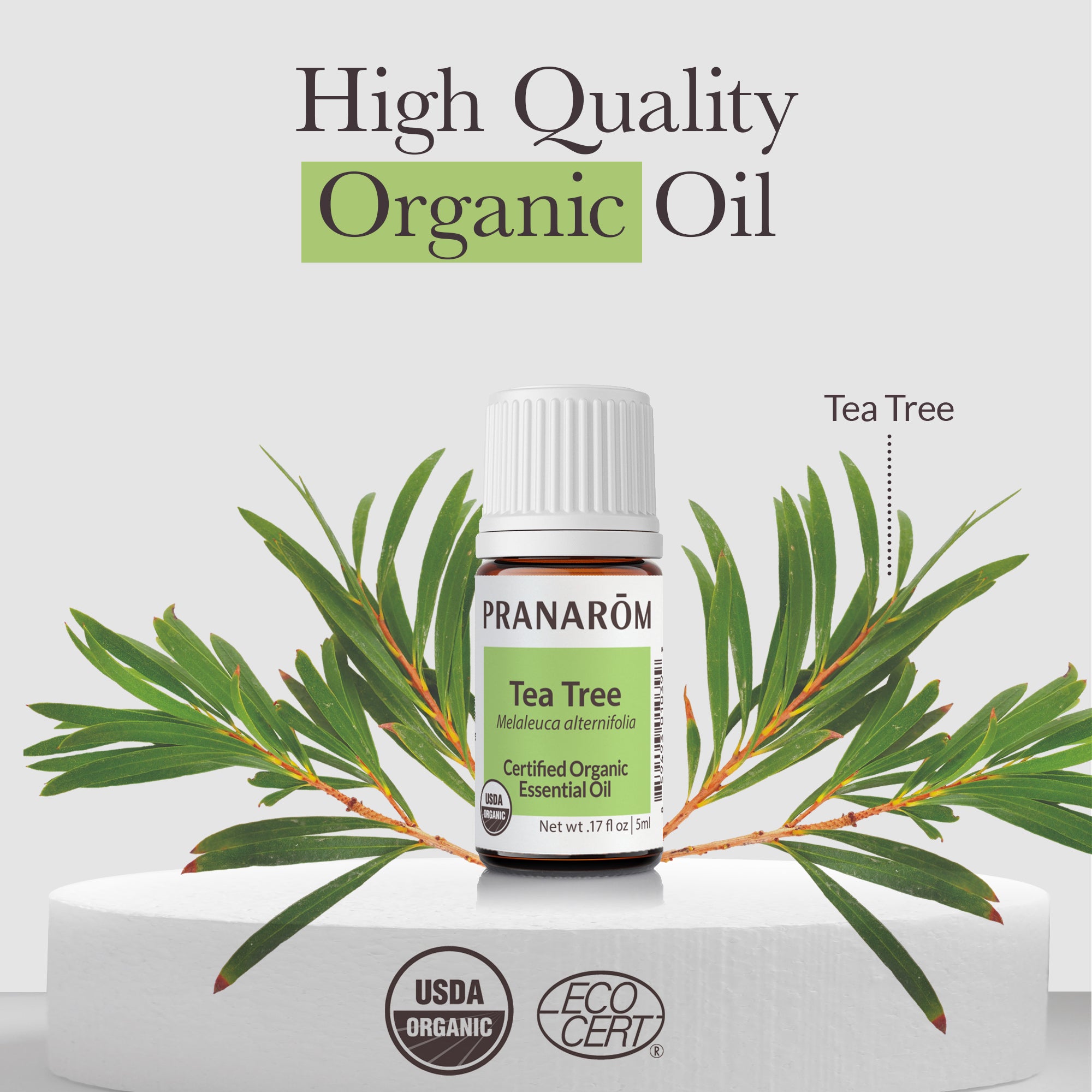 Tea Tree Essential Oil - Bio | Pranarôm