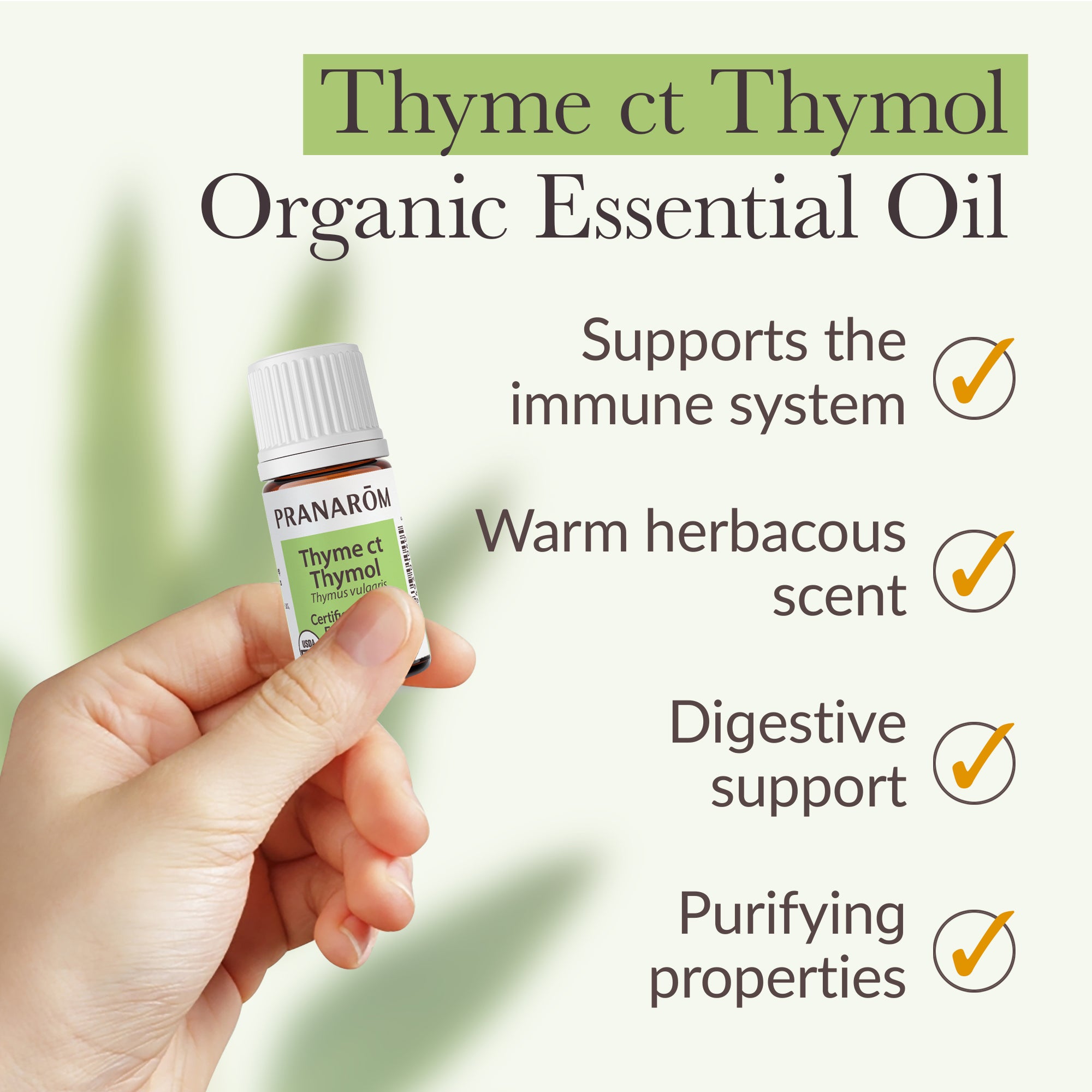Thyme ct thymol Essential Oil - Bio | Pranarôm