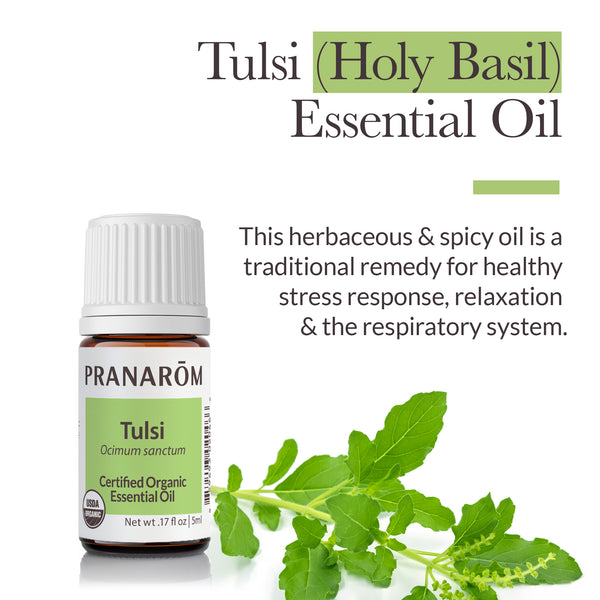 5tul1-single-notes-tulsi-pranarom-5ml-us-859493020466-02.jpg