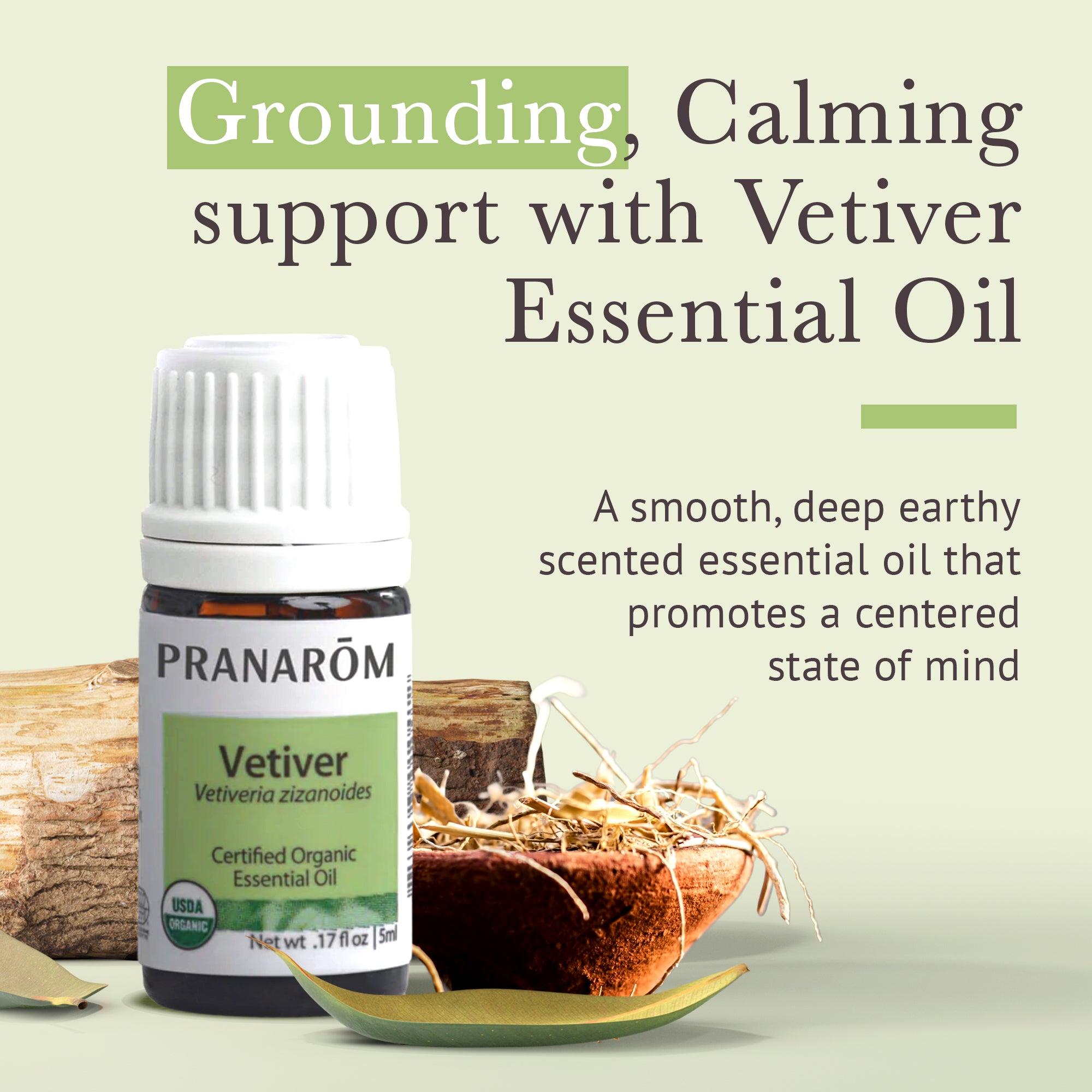 Vetiver Essential Oil - Bio | Pranarôm