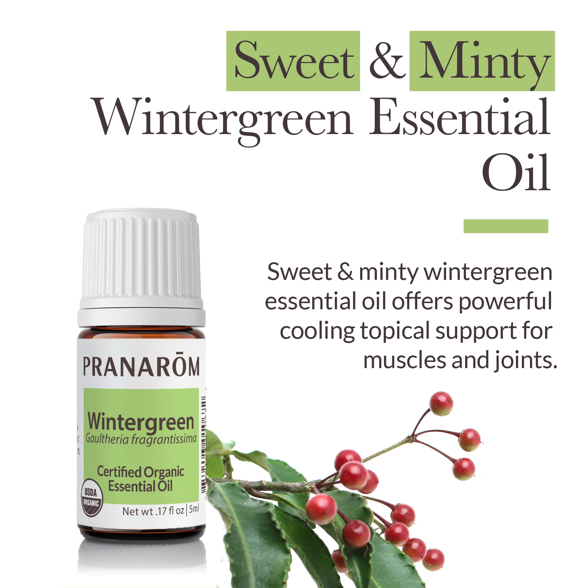 Wintergreen Essential Oil - Bio | Pranarôm