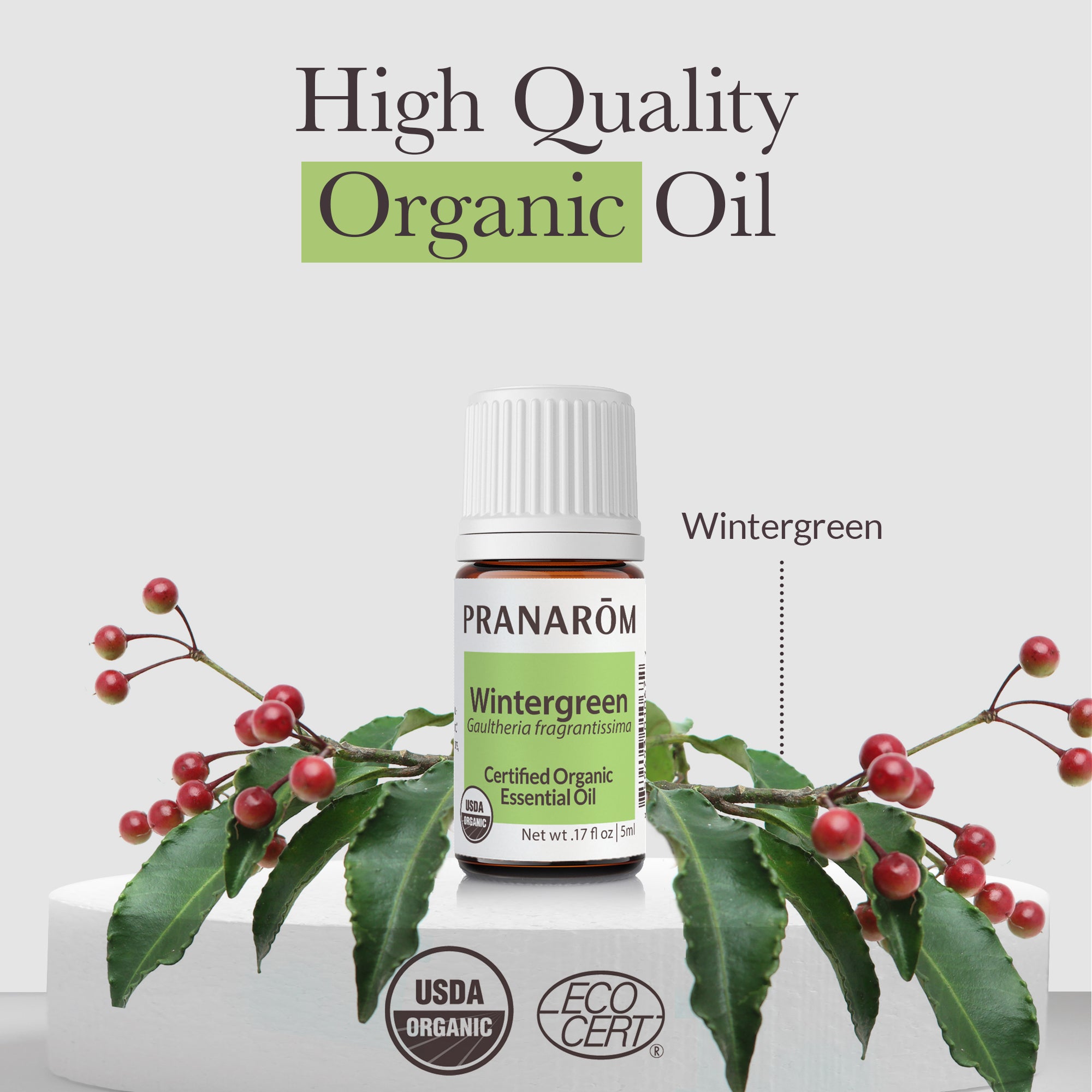 Wintergreen Essential Oil - Bio | Pranarôm