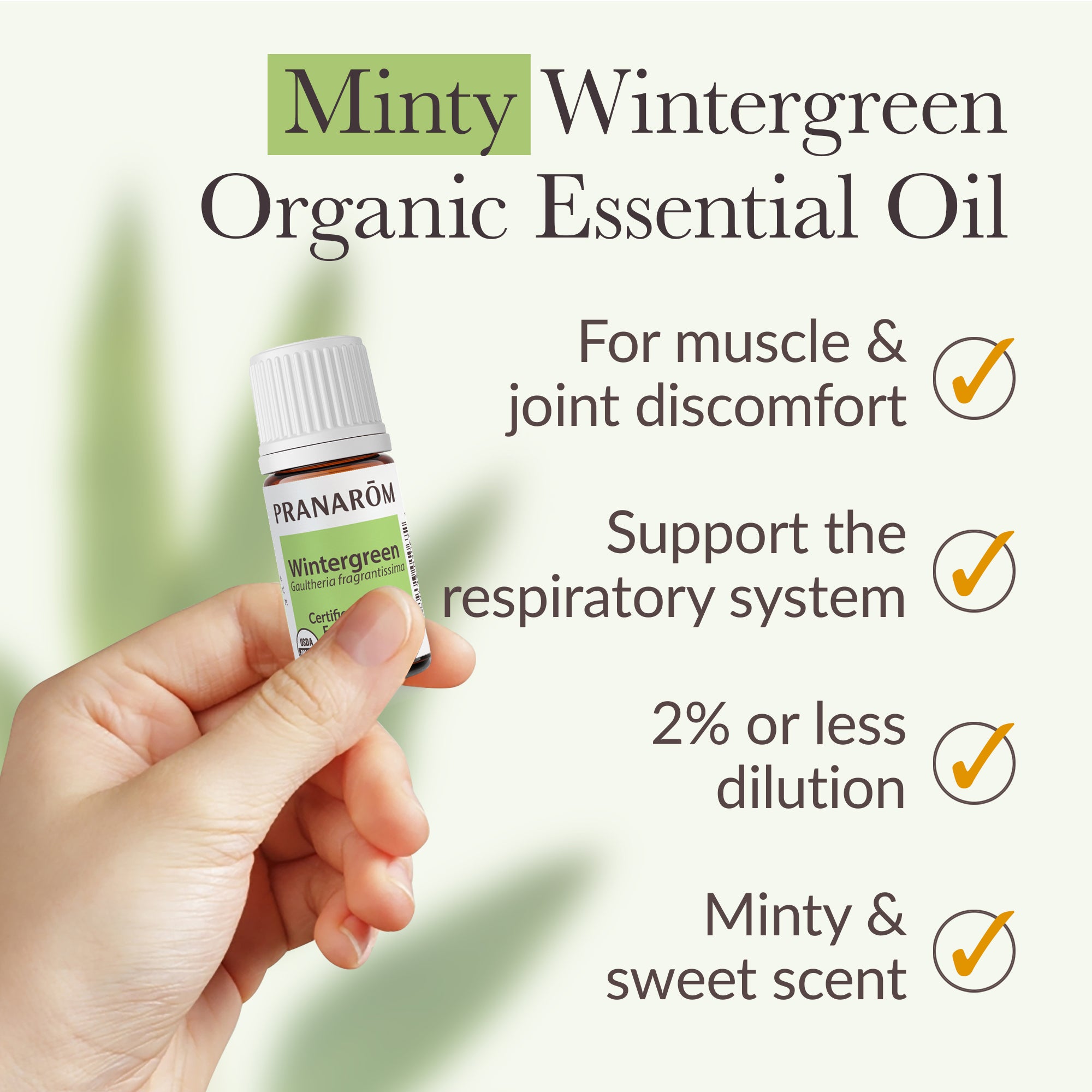 Wintergreen Essential Oil - Bio | Pranarôm