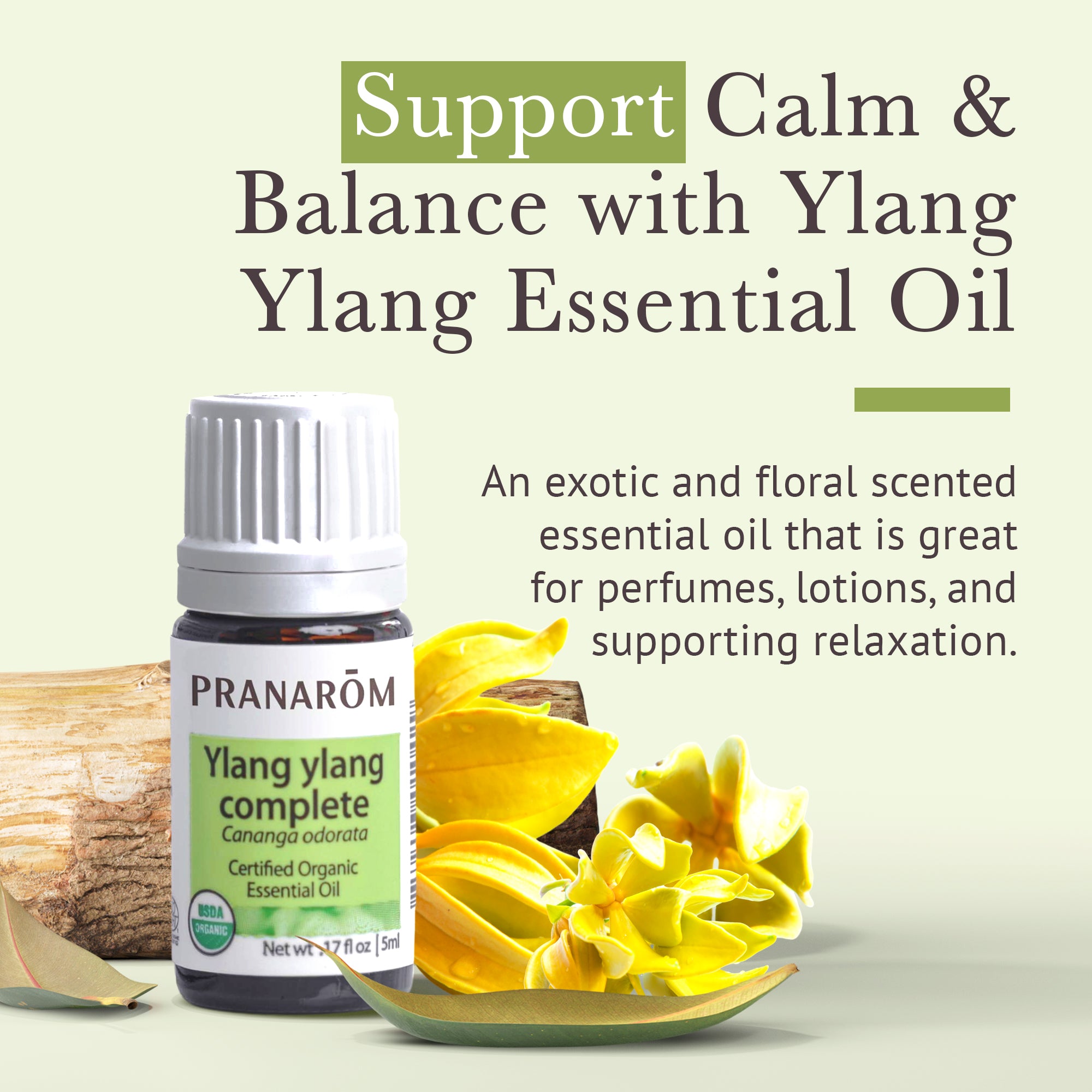 Ylang ylang Complete Essential Oil - Organic | Pranarôm