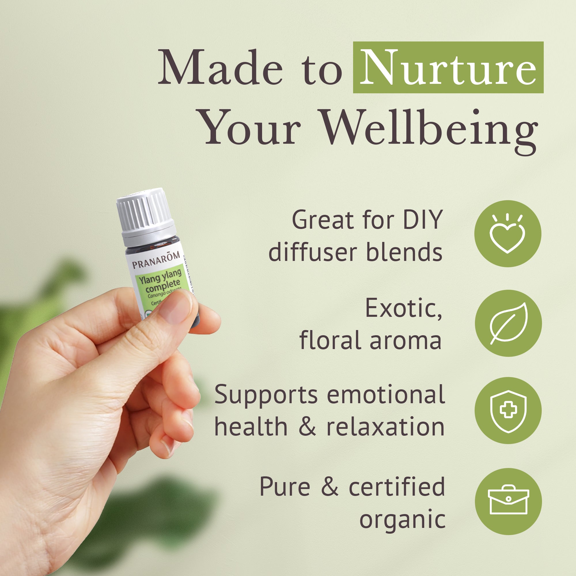 Ylang ylang Complete Essential Oil - Organic | Pranarôm