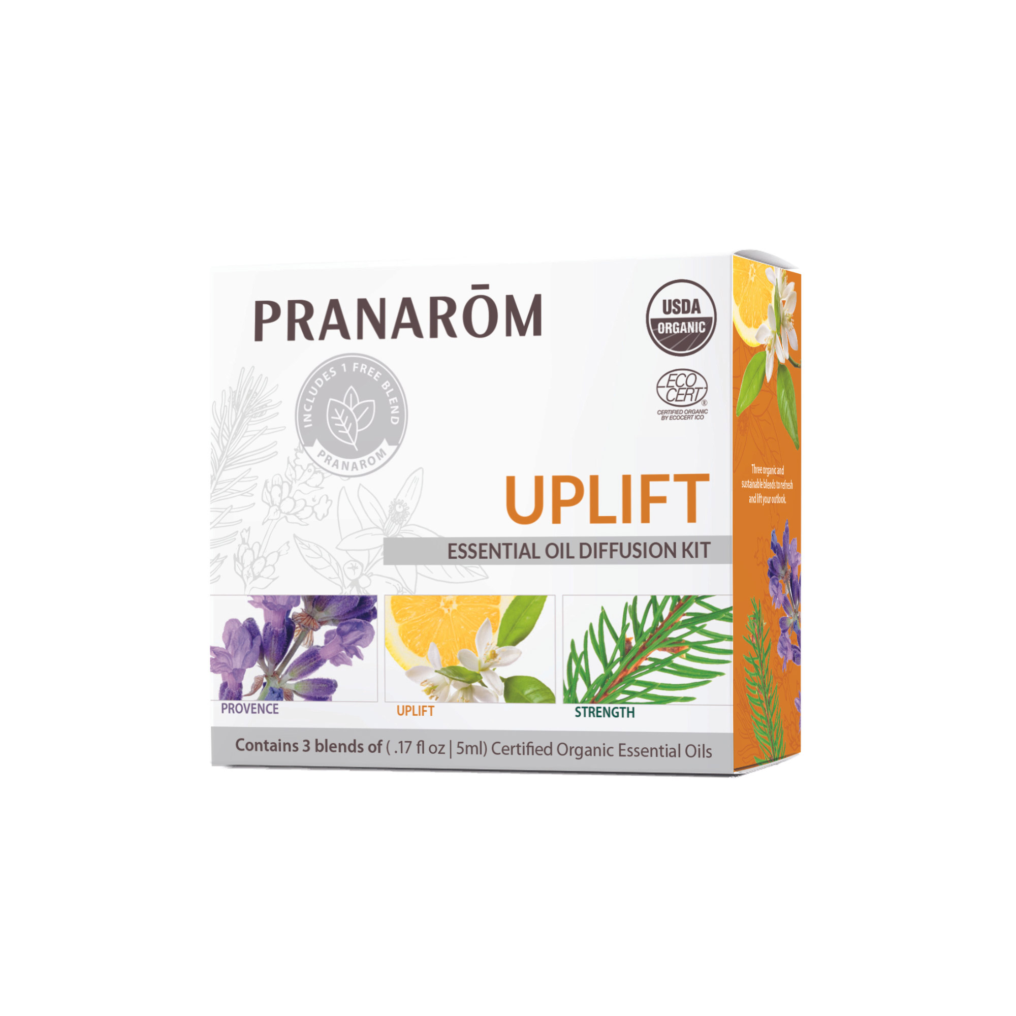 Uplift Diffusion Blend Kit