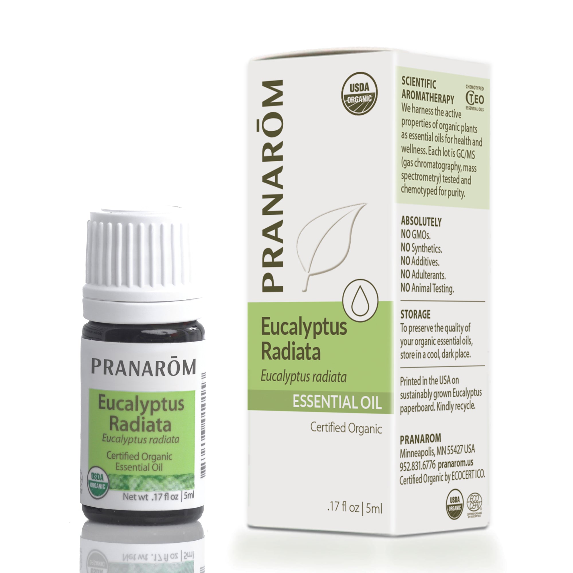 Eucalyptus Radiata Essential Oil - Organic