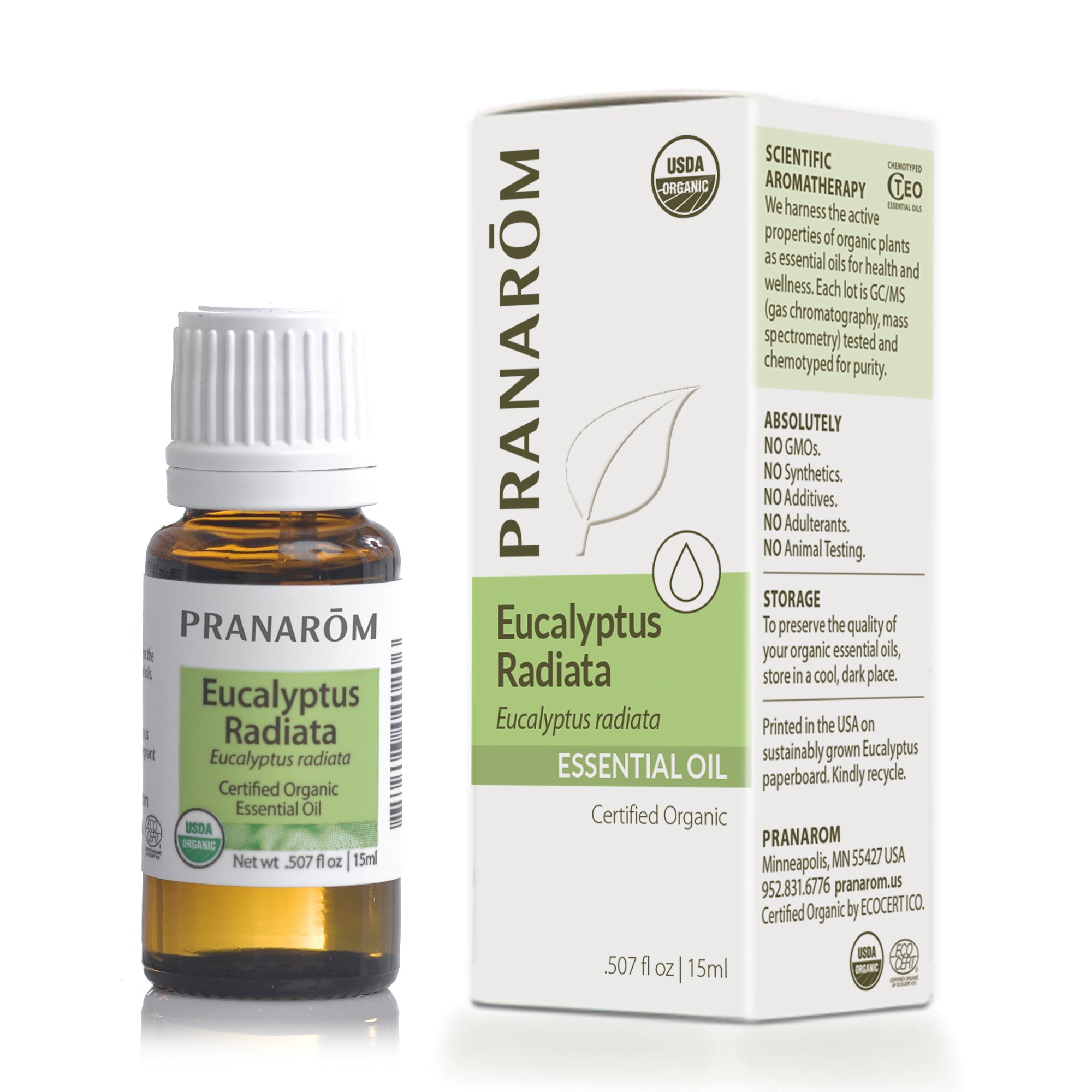 Eucalyptus Radiata Essential Oil - Organic