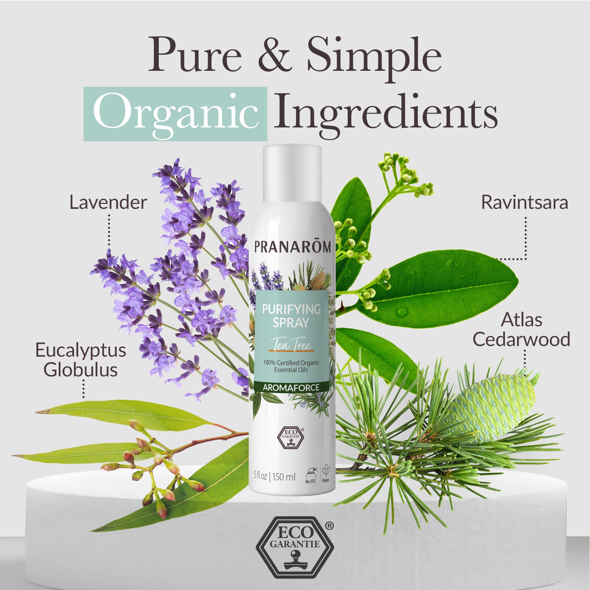 Aromaforce Tea Tree Purifying Spray - Organic | Pranarôm