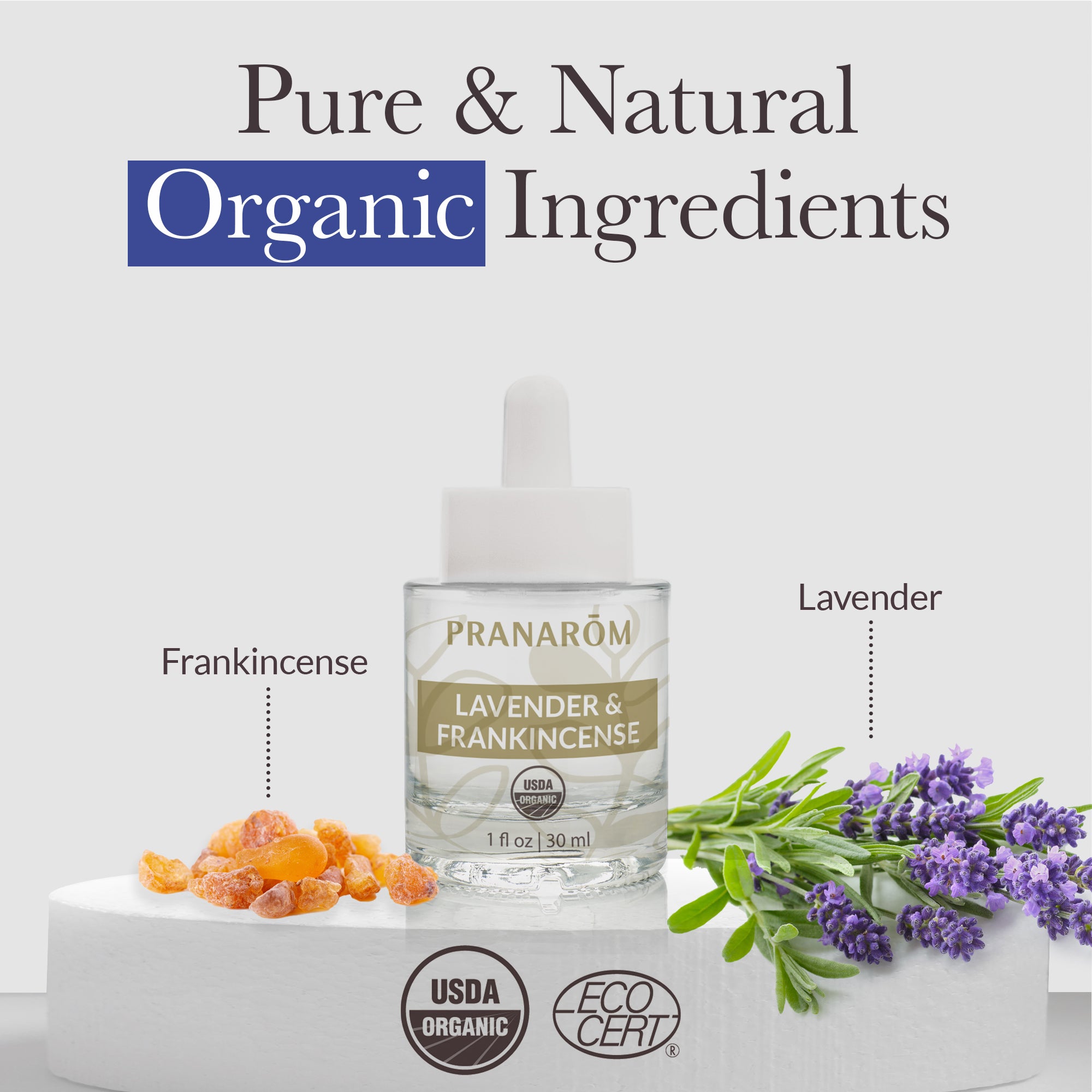 Lavender Infused Frankincense Oil | Pranarôm