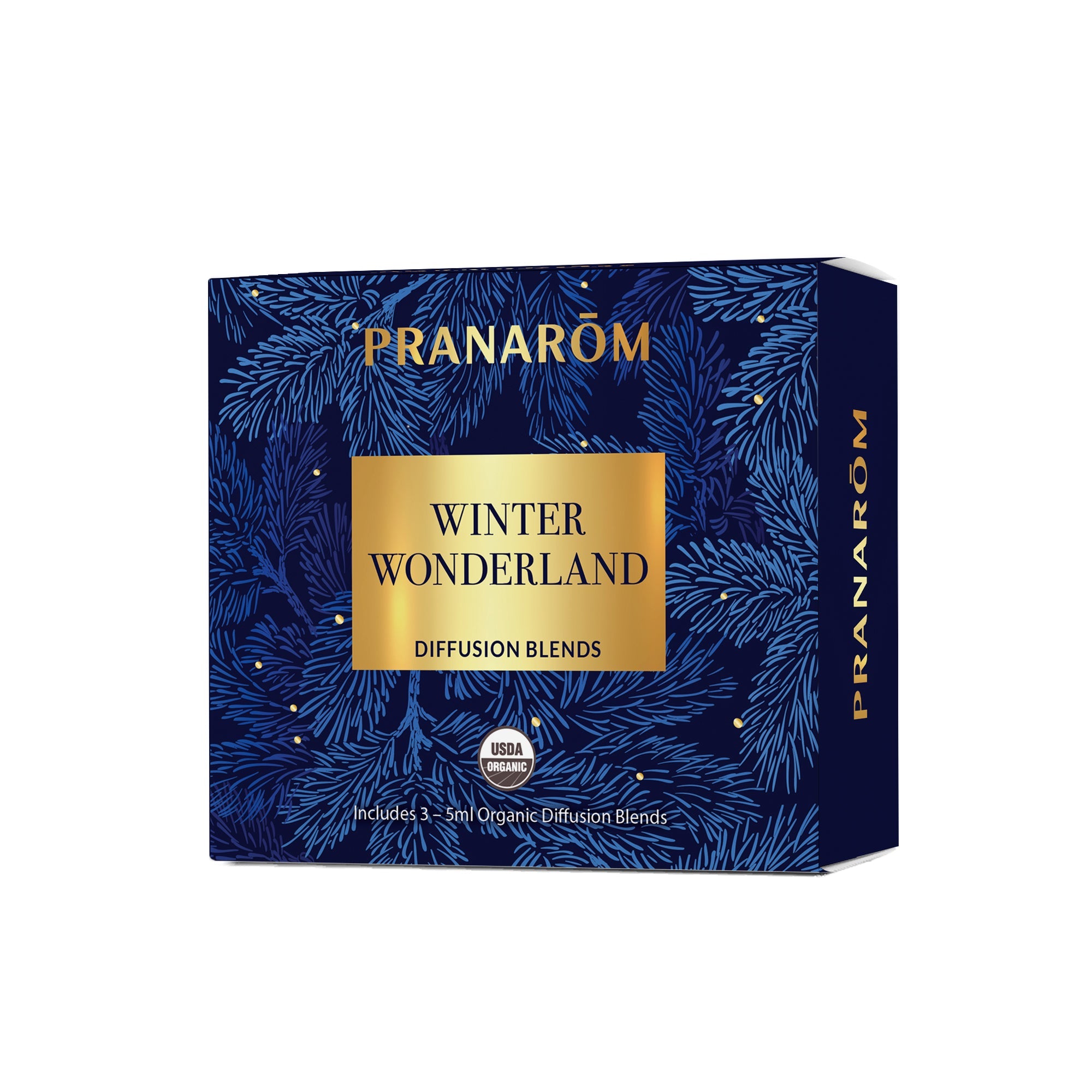 Winter Wonderland Diffusion Kit