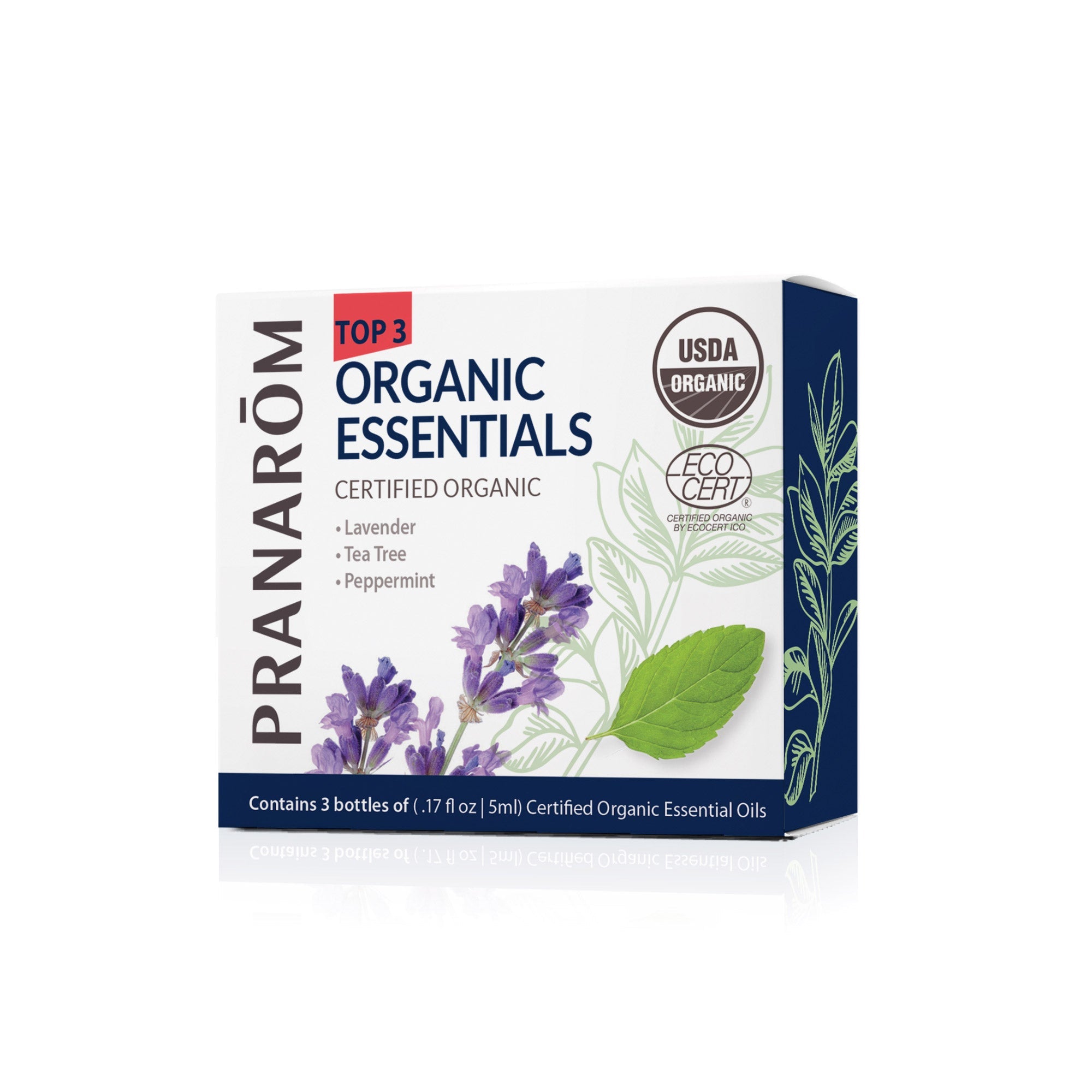 Top 3 Single Note Essential Oil Kit