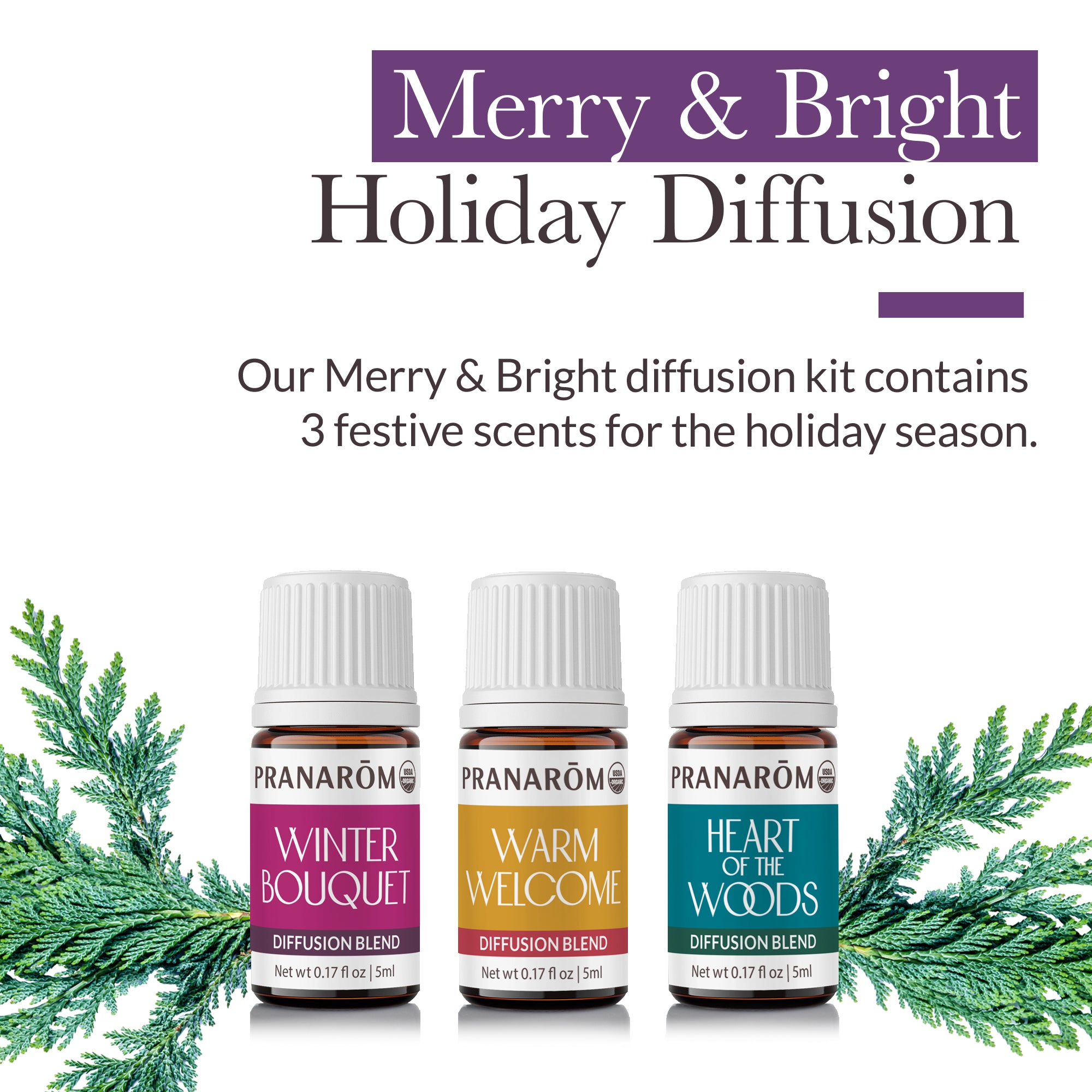 Merry & Bright Diffusion Kit | Pranarôm