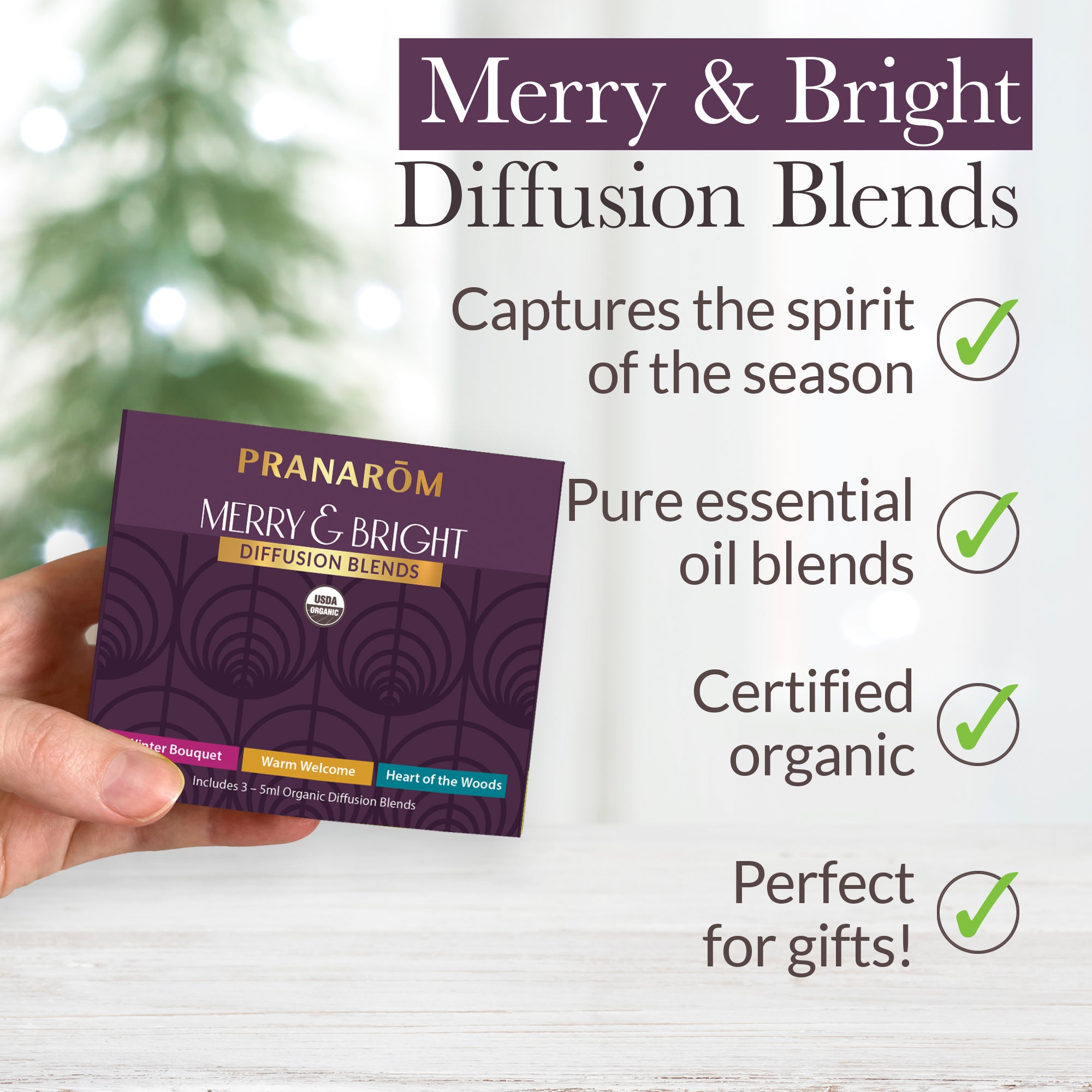 Merry & Bright Diffusion Kit | Pranarôm