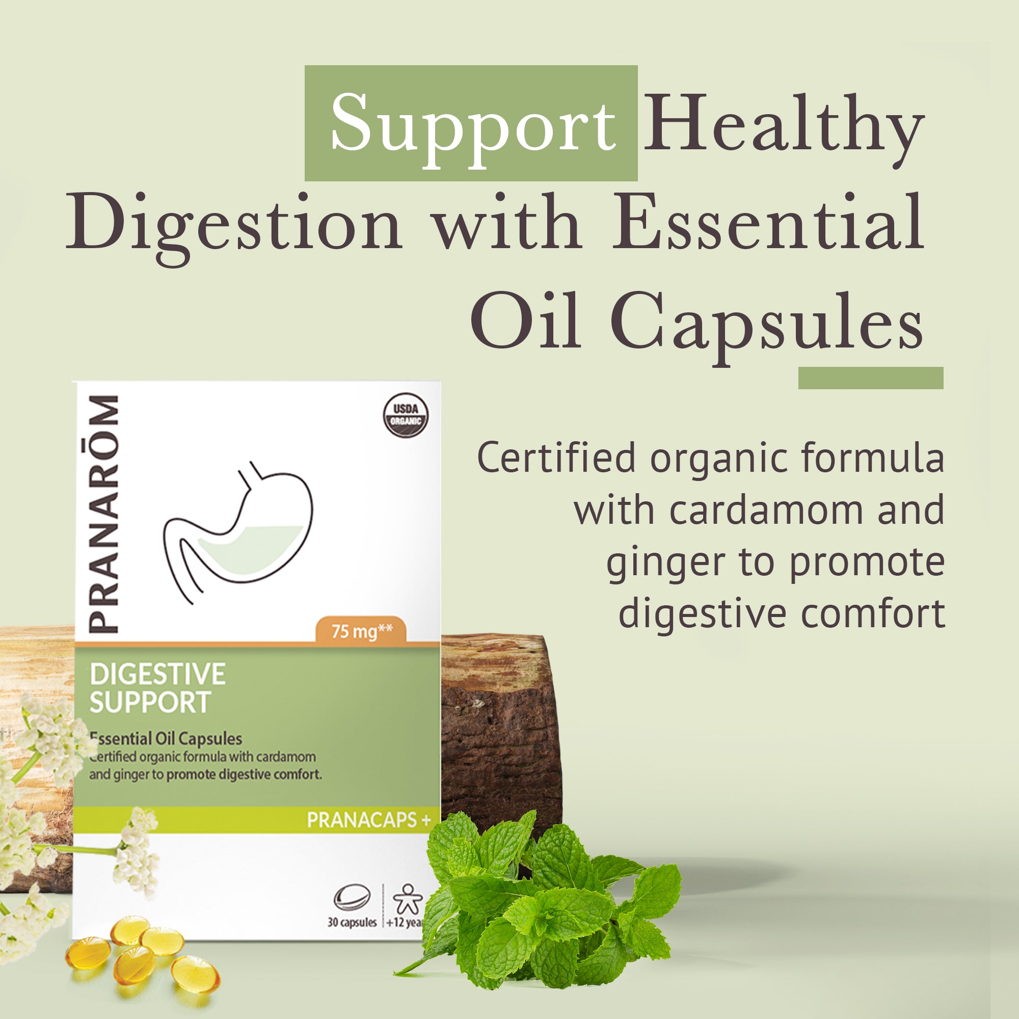 Digestive Support Pranacaps - Organic | Pranarôm
