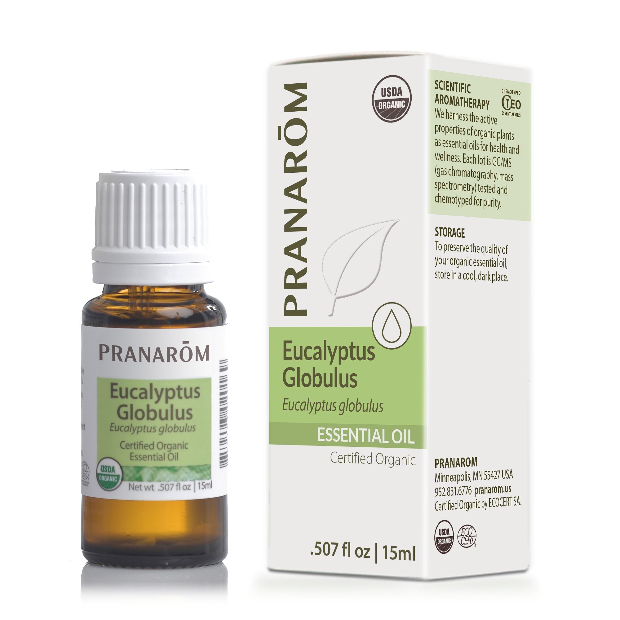 Eucalyptus Globulus Essential Oil - Organic