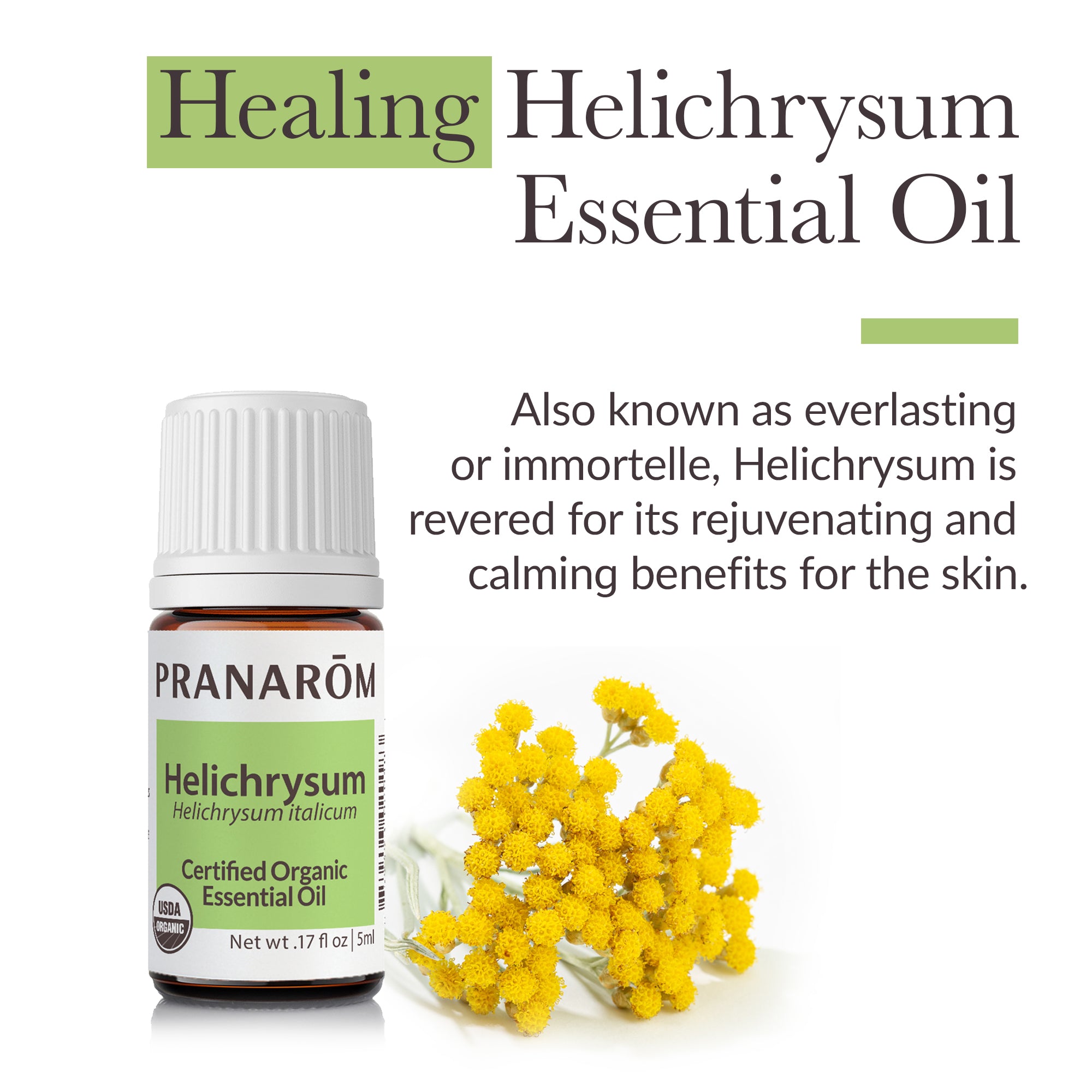 Helichrysum Essential Oil - Organic | Pranarôm