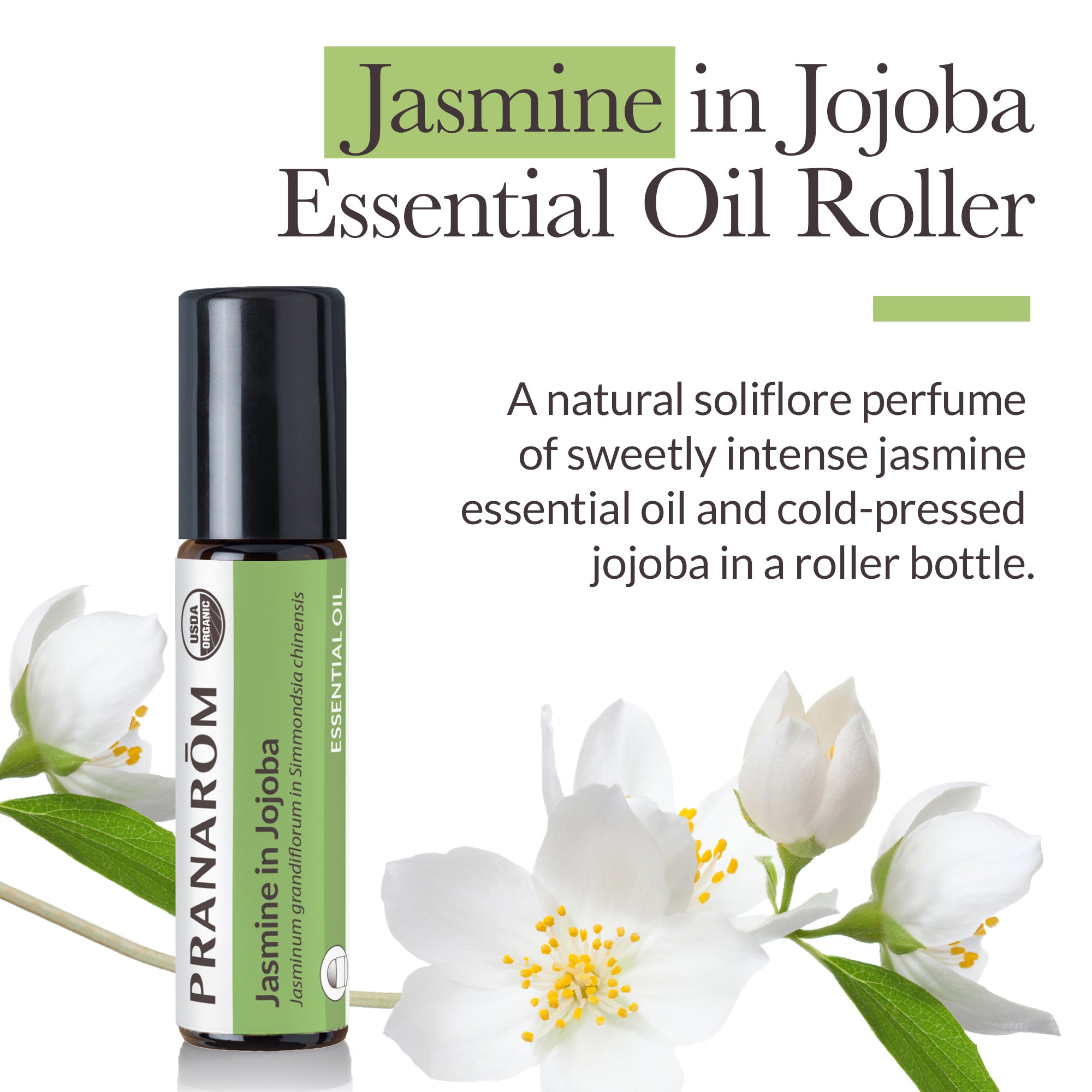 Jasmine Essential Oil in Jojoba - Organic | Pranarôm