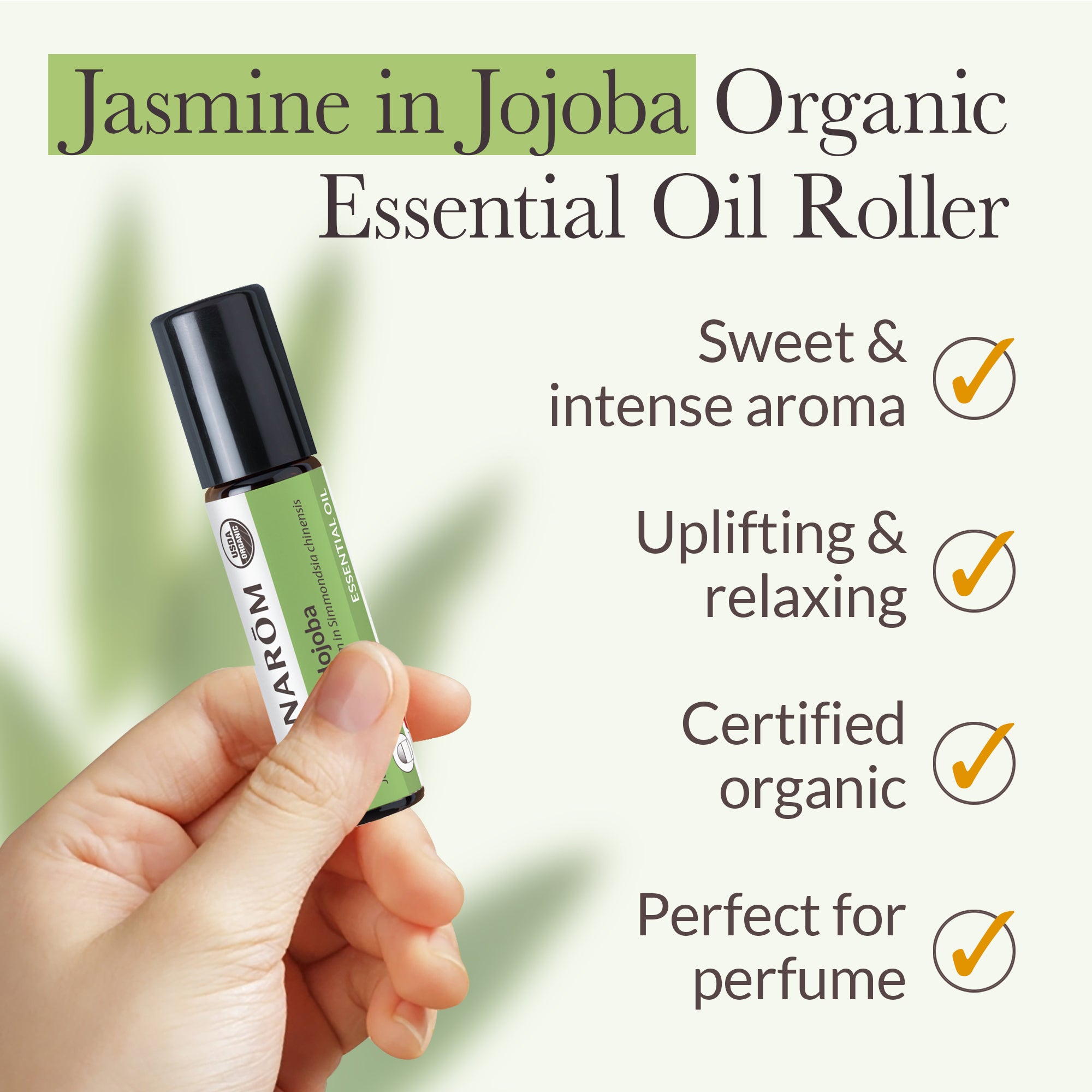Jasmine Essential Oil in Jojoba - Organic | Pranarôm