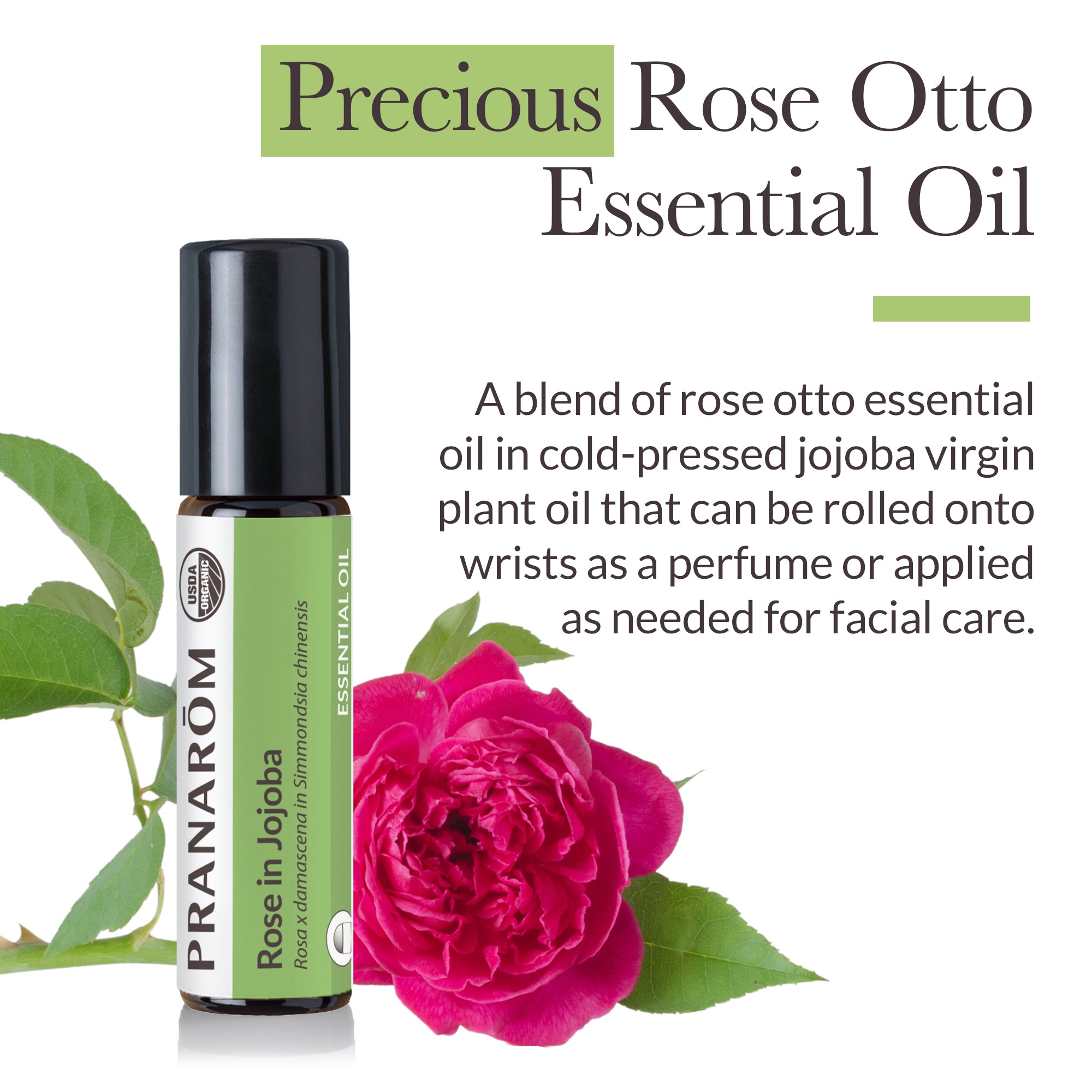Rose Otto Essential Oil in Jojoba - Organic | Pranarôm