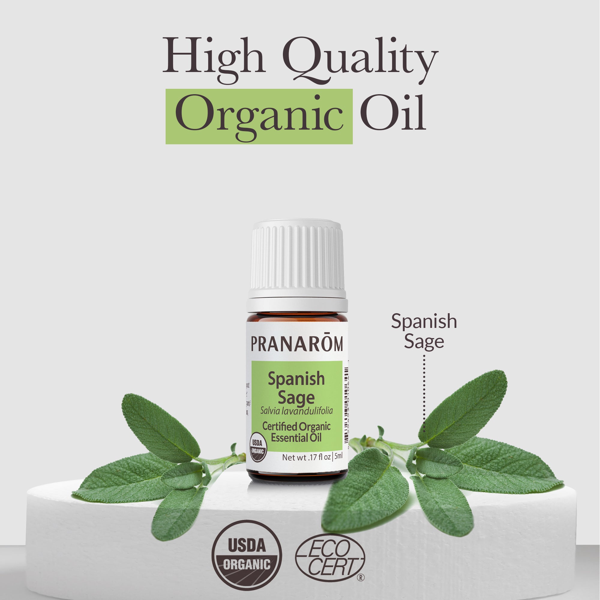 Pranarom Spanish Sage Essential Oil - Thumbnail 3
