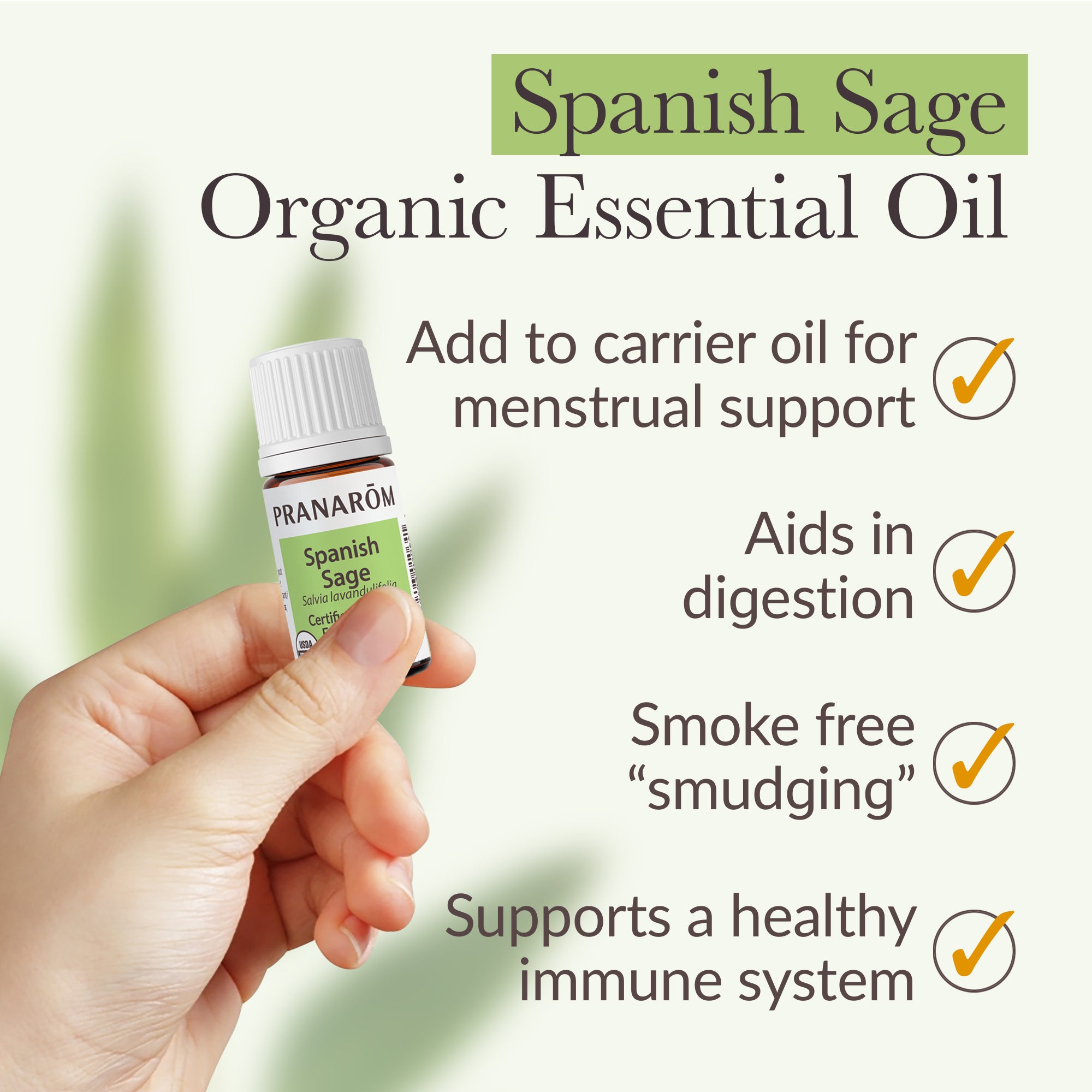 Sage, Spanish Essential Oil - Bio | Pranarôm