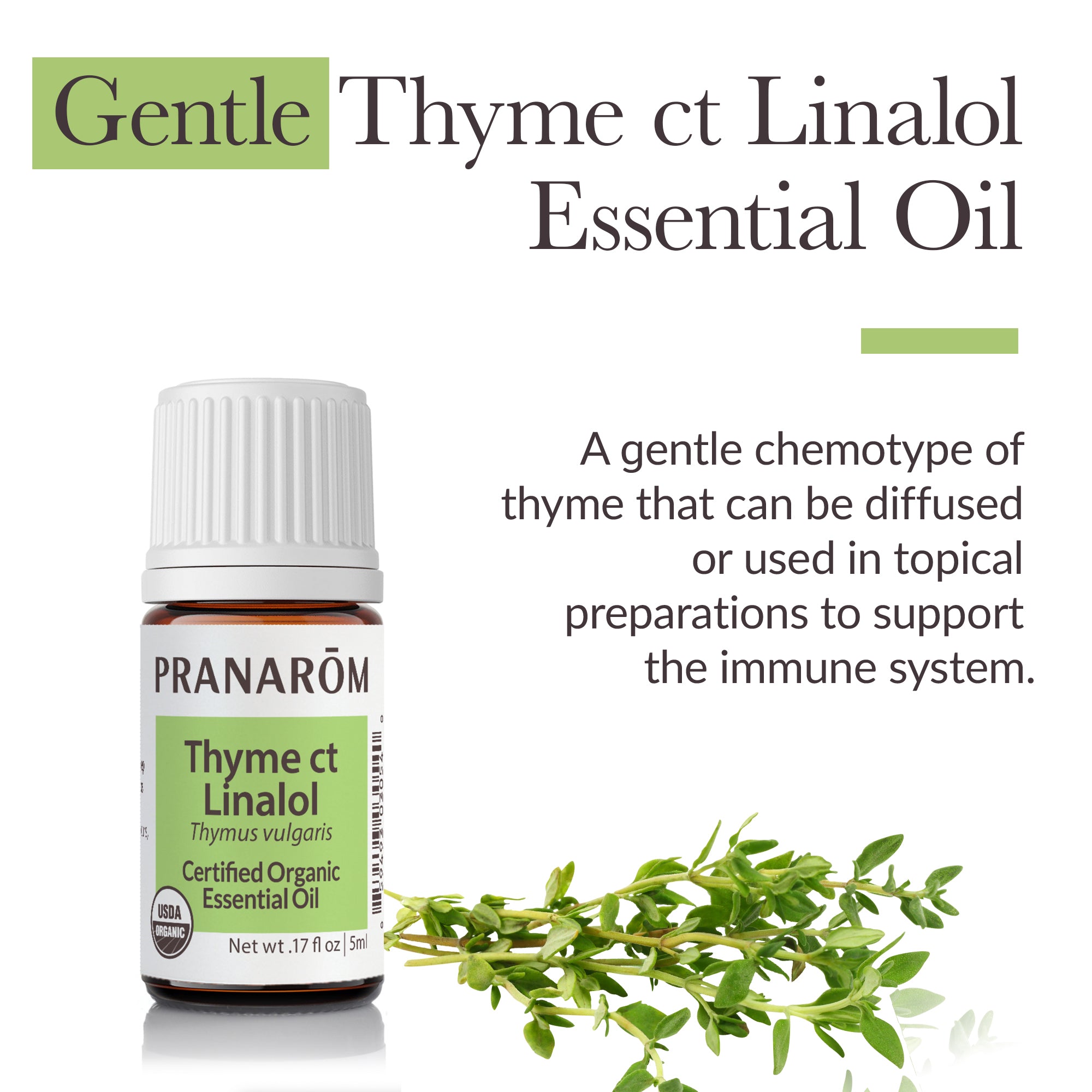 Thyme ct linalol Essential Oil - Organic | Pranarôm