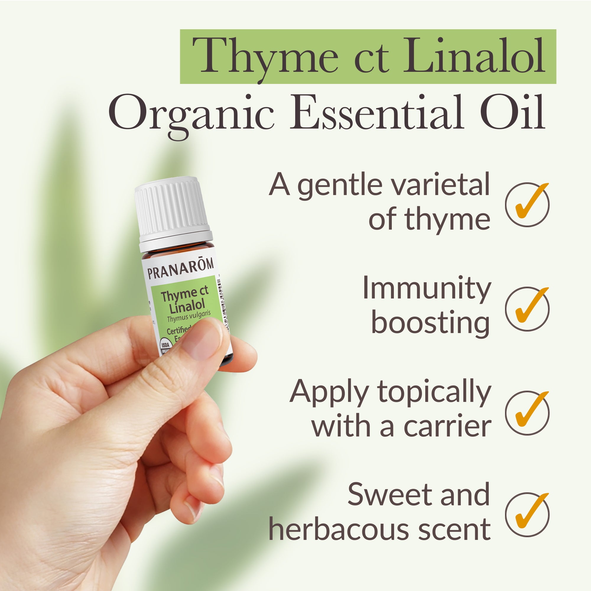 Thyme ct linalol Essential Oil - Bio | Pranarôm