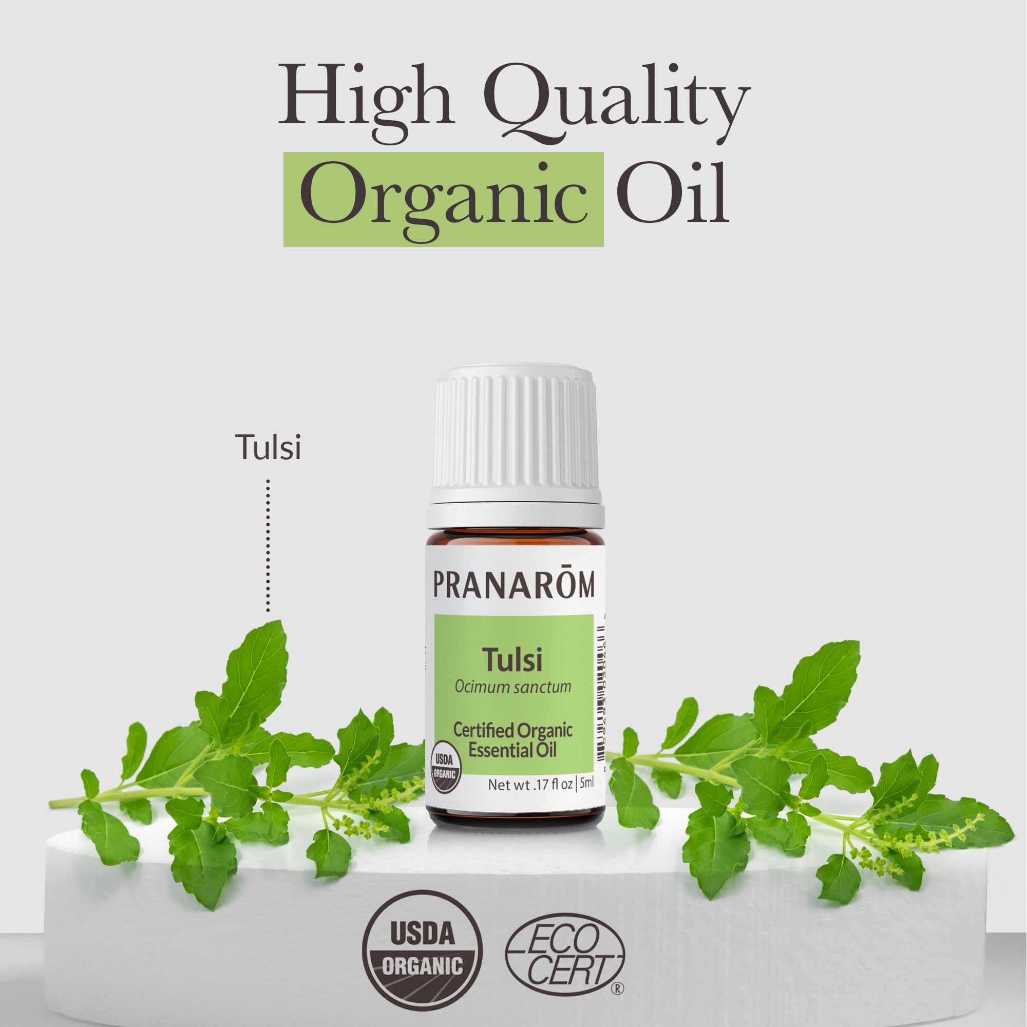Tulsi Essential Oil - Bio | Pranarôm