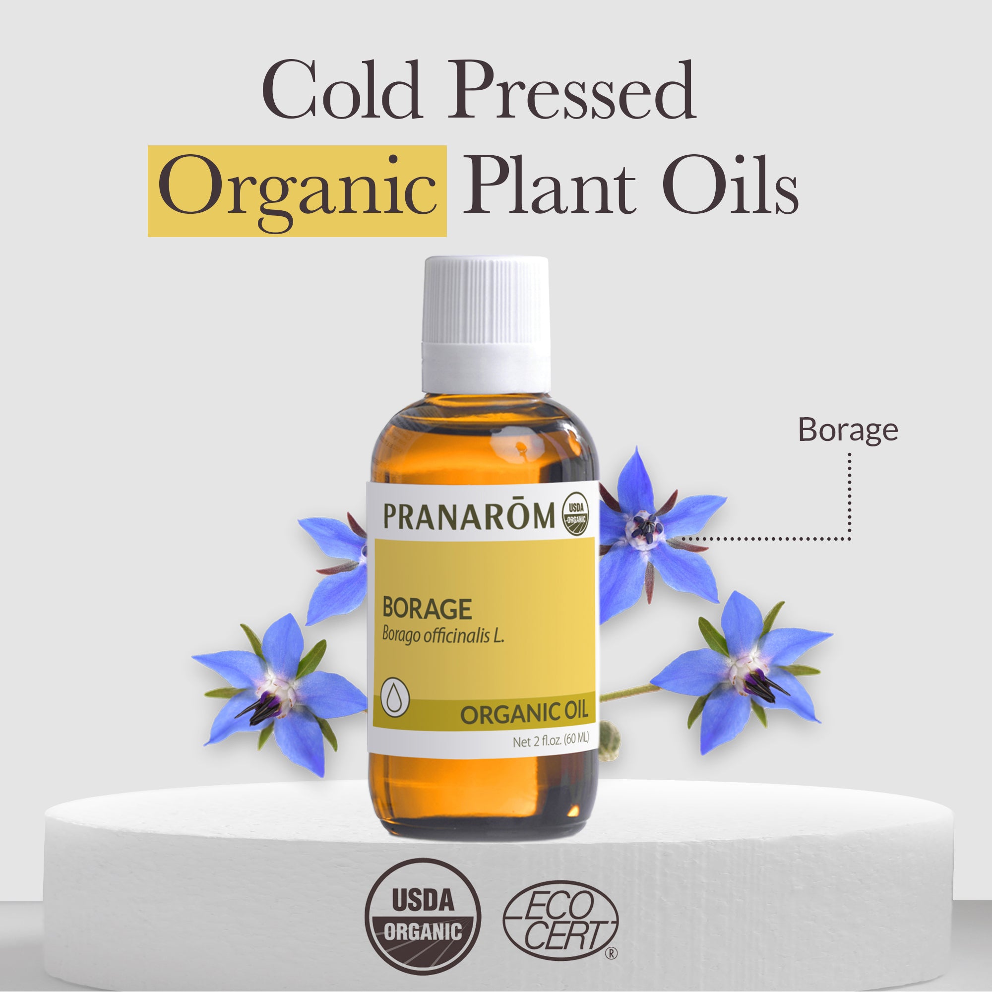Borage Virgin Plant Oil - Bio | Pranarôm