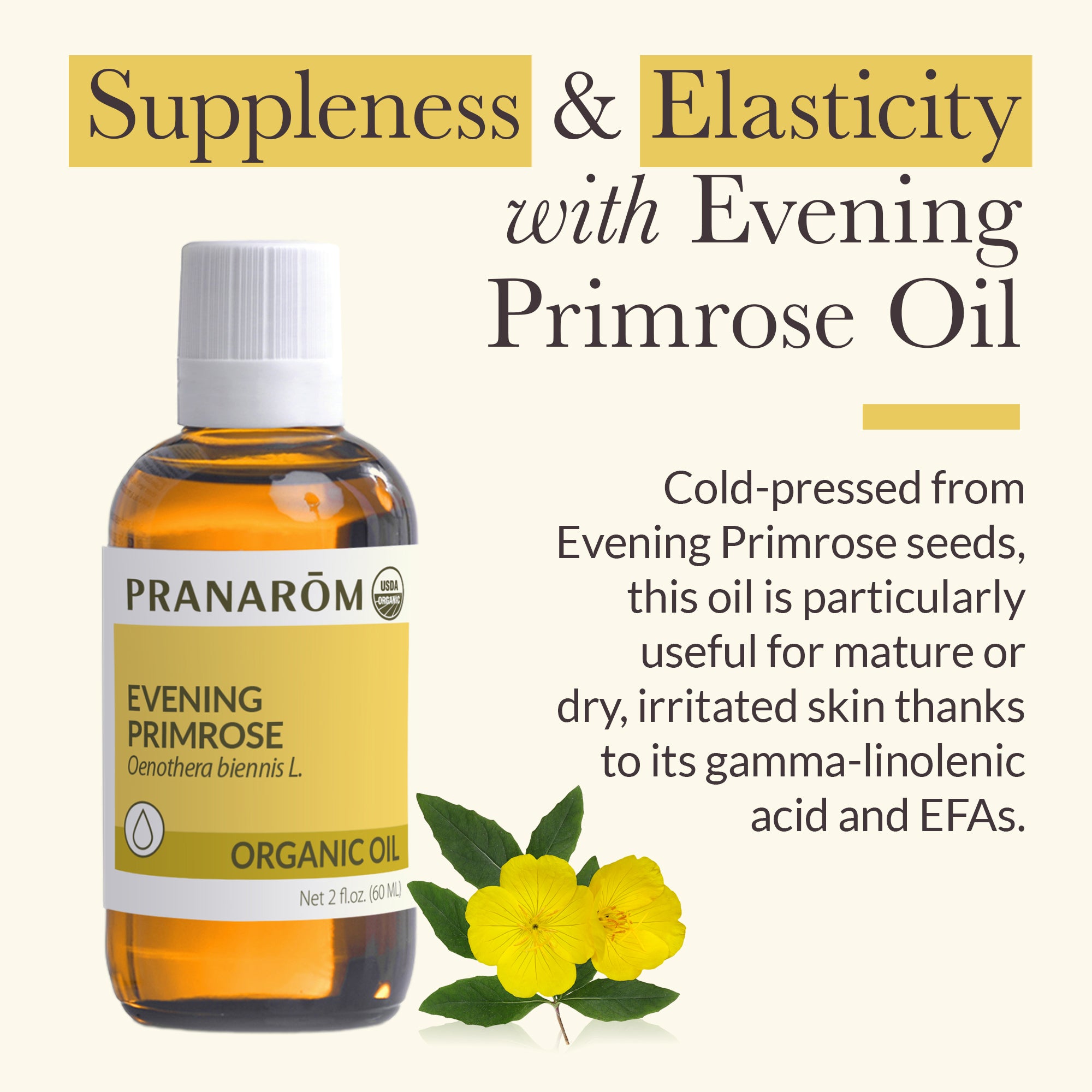 Evening Primrose Virgin Plant Oil - Bio | Pranarôm