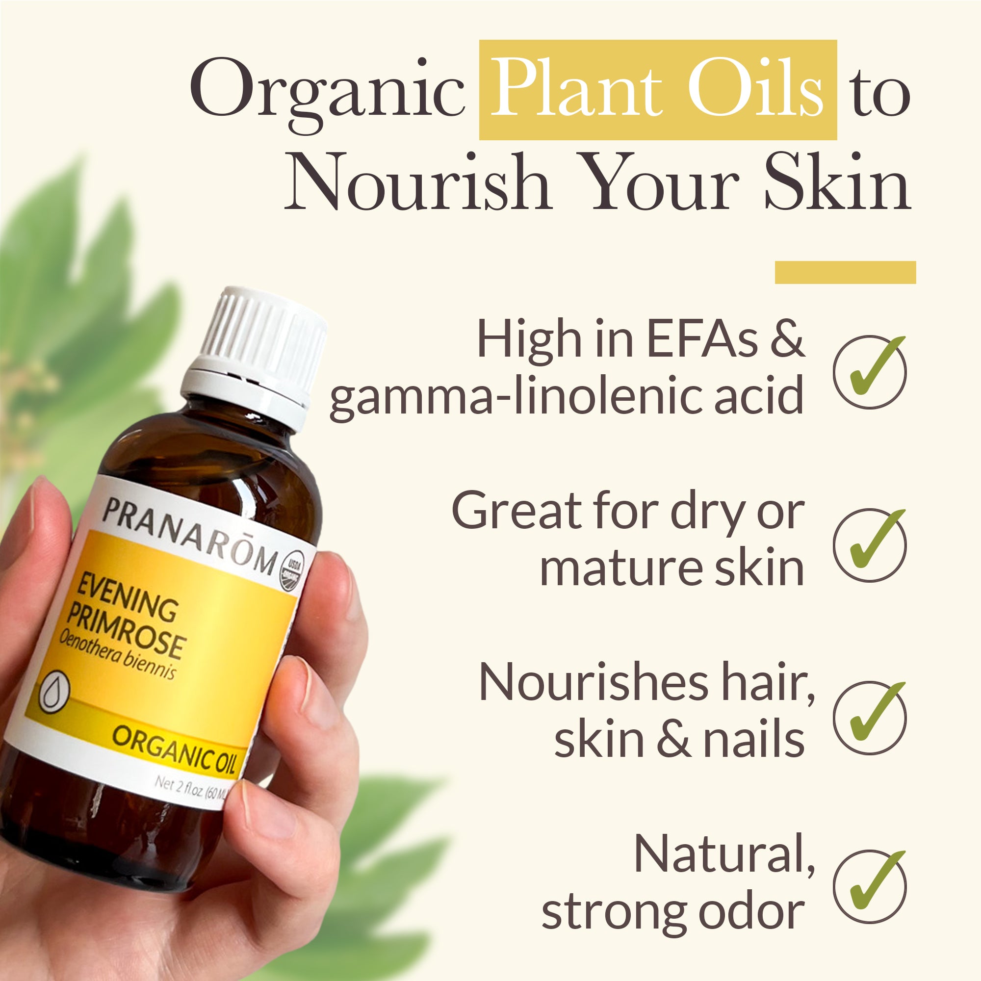 Evening Primrose Virgin Plant Oil - Organic | Pranarôm
