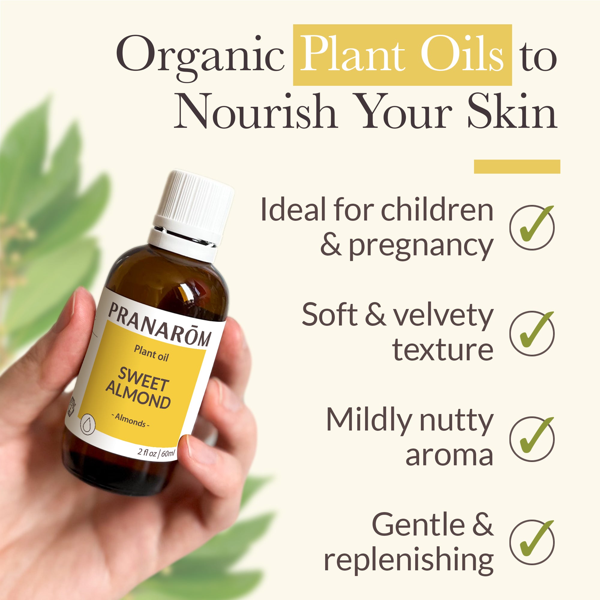 Sweet Almond Virgin Plaint Oil - Bio | Pranarôm